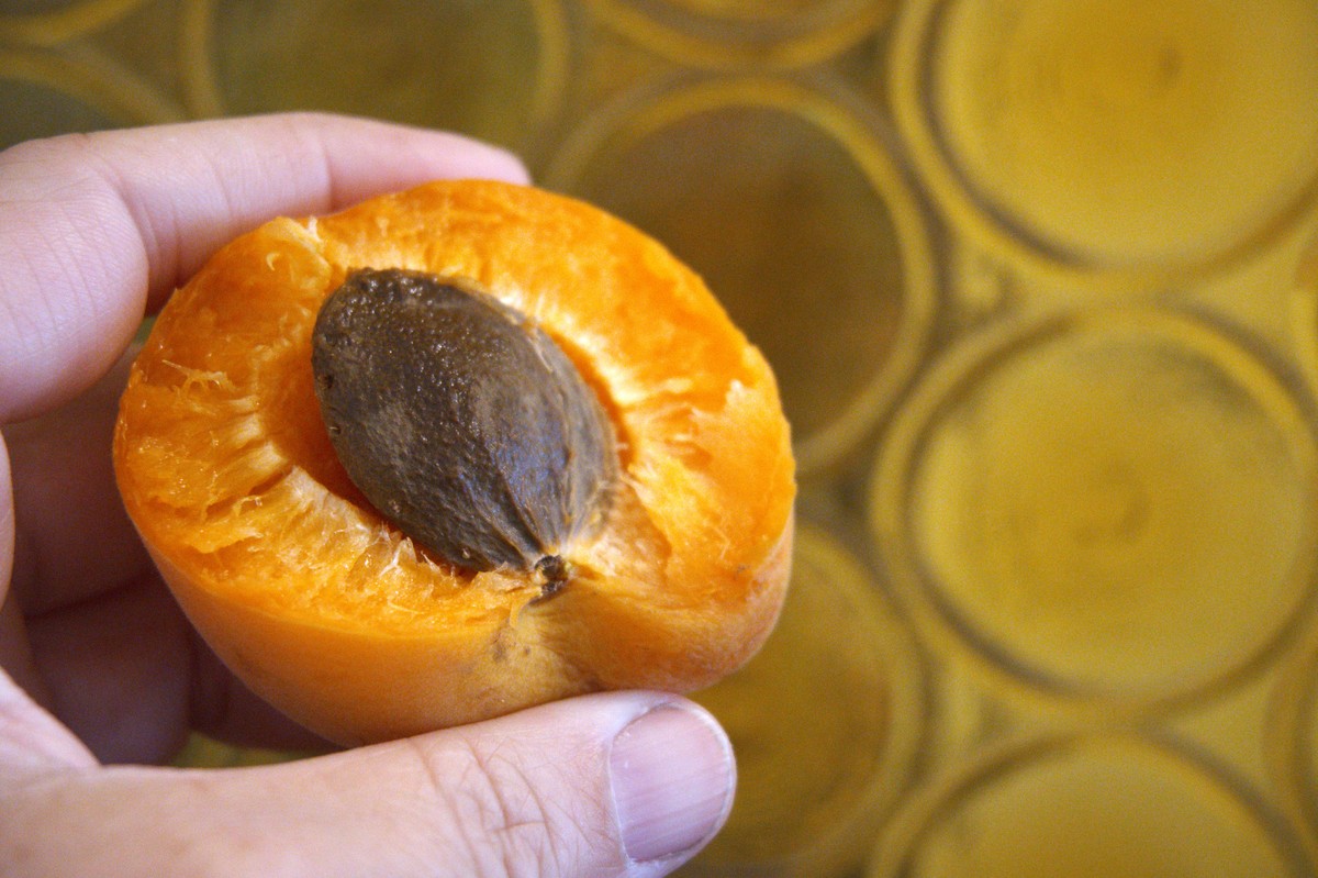 杏子皮能吃吗？功效和食用方法