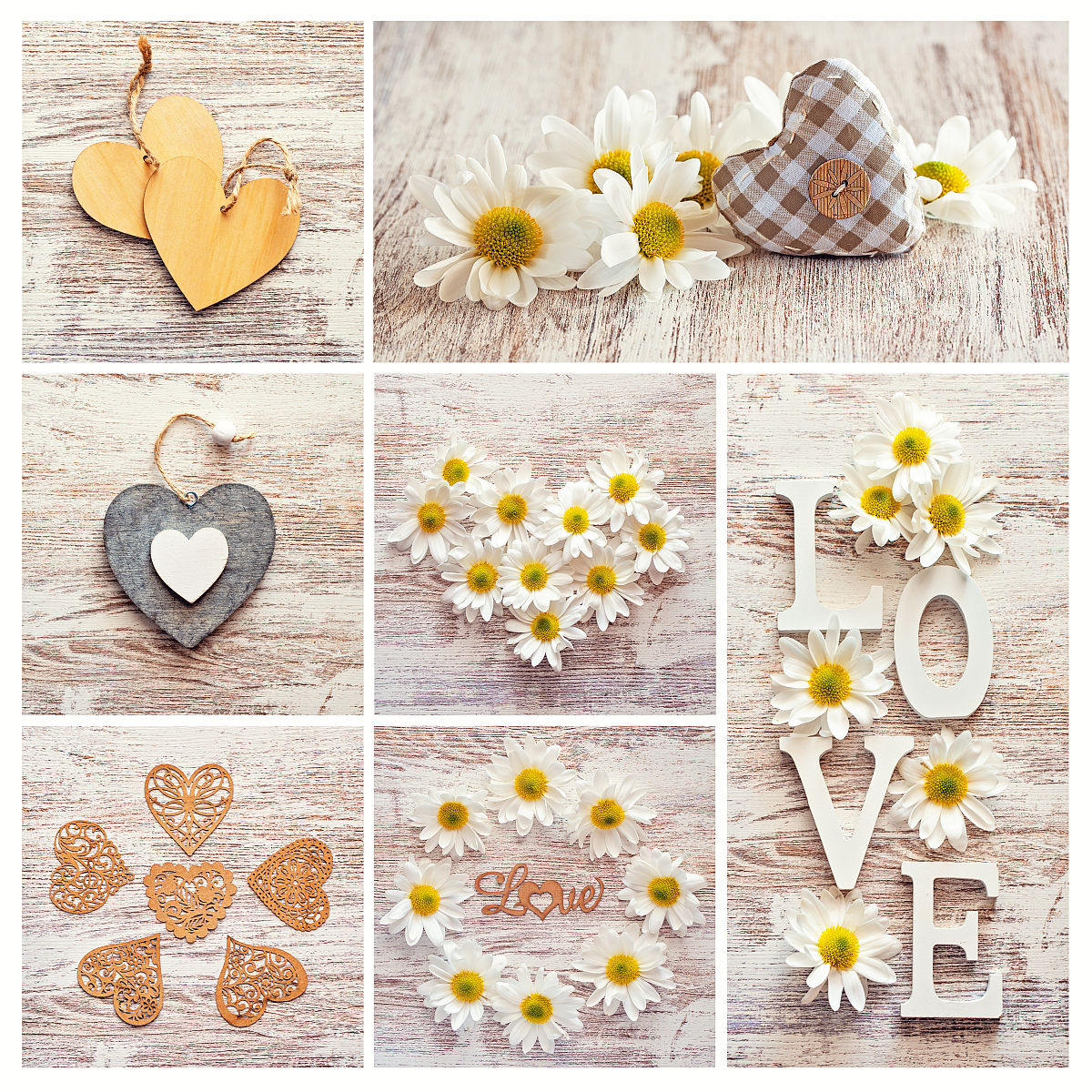 用美式英语写6条关于Sunflower Wall Stickers with 3D Butterfly Wall Sticker Butterfly Wall Decals的好评以及其好评标题。结果格式为标题：好评内容。不需要空行。