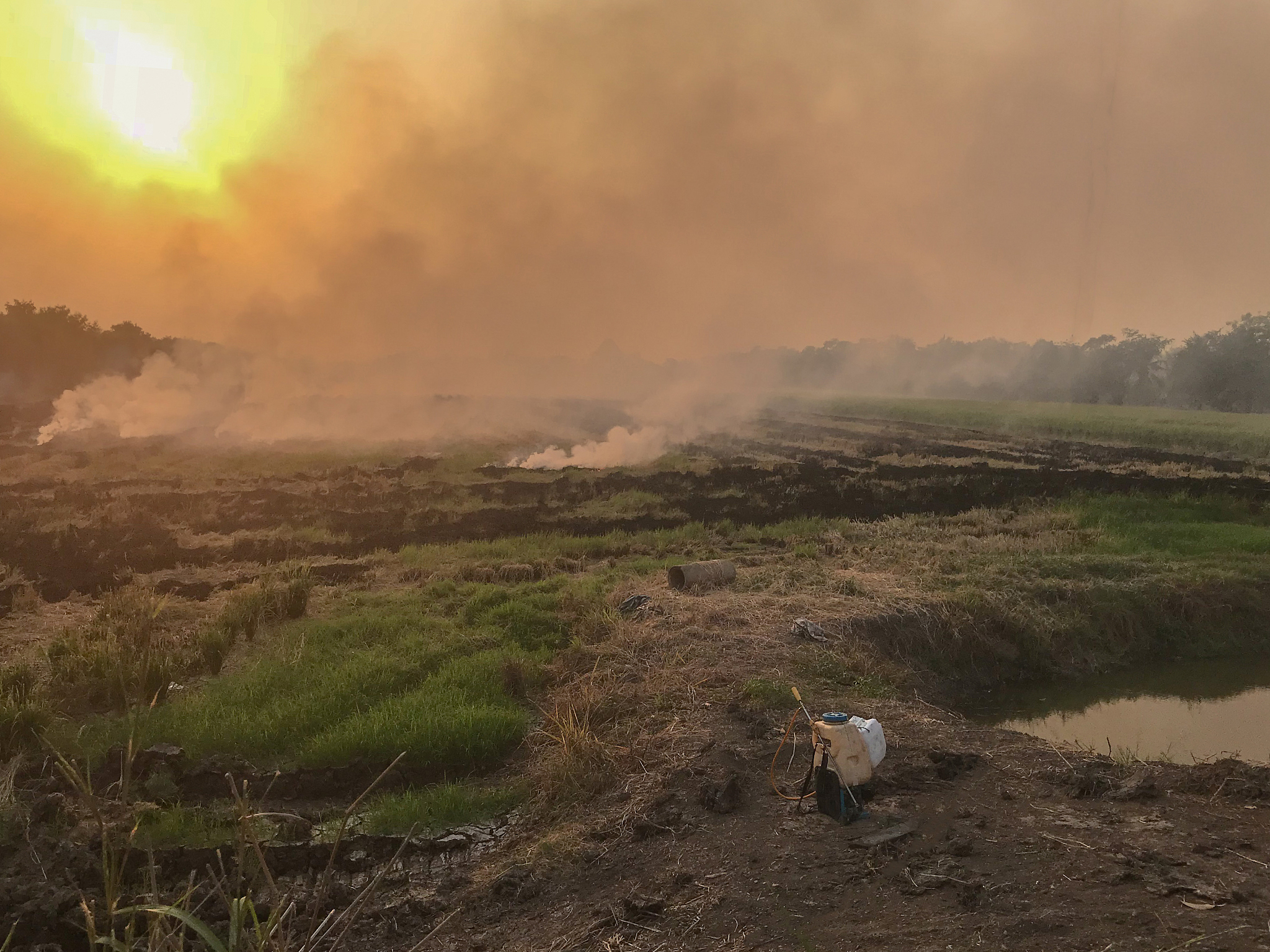 玉州区秸秆露天焚烧问题：现状、影响及对策