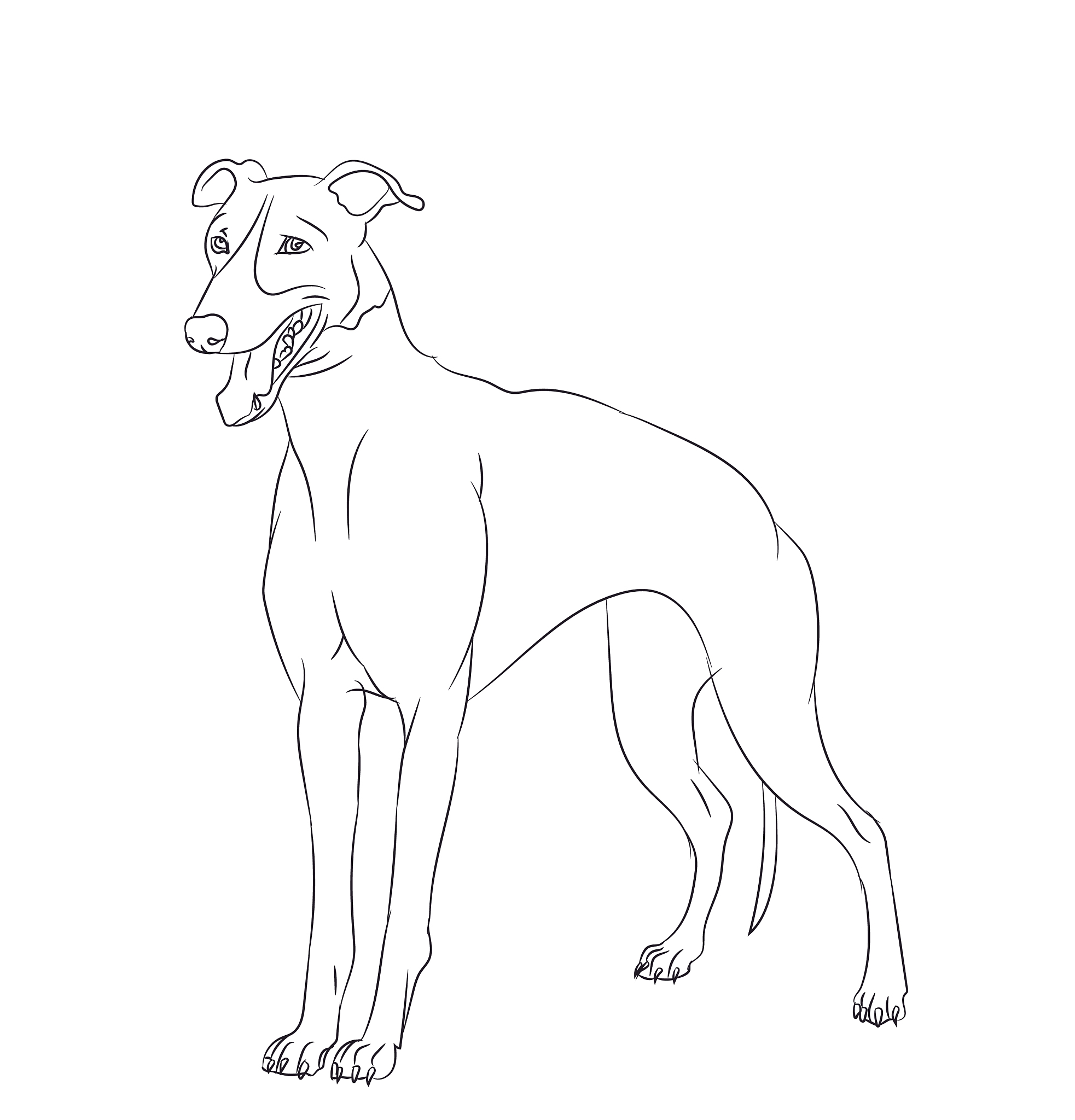 如何画一只狗：简单易学的绘画教程 - 详细步骤指南