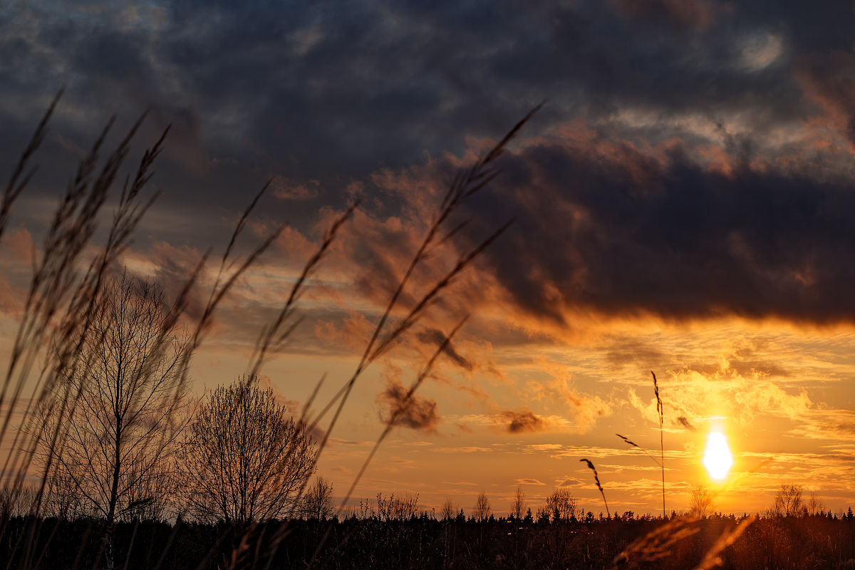 小学生上学路见闻：美丽公园、清澈小溪和和蔼店主