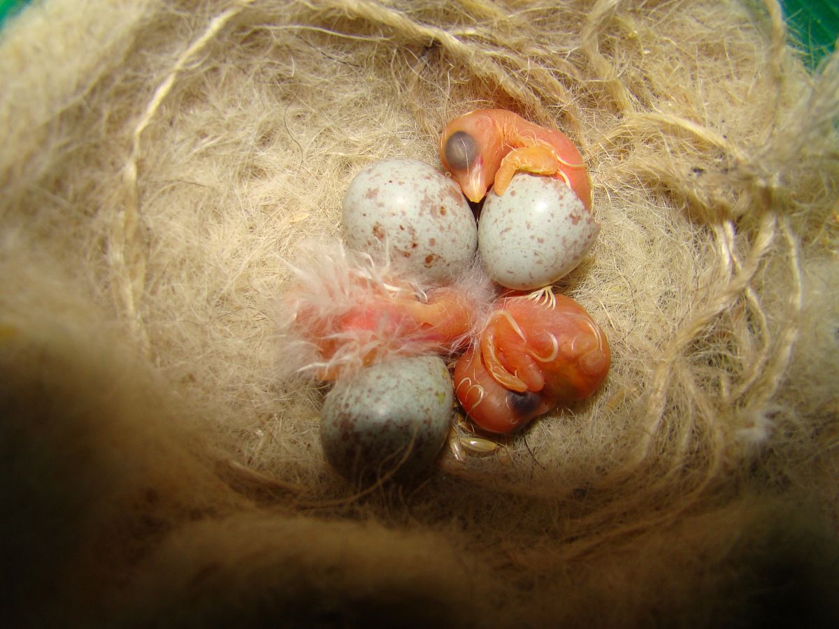 大学心理健康教育课结课大学心理健康教育课结课论文随着社会的不断发展人们的生活水平不断提高但是也带来了许多新的问题其中心理健康问题尤为突出。大学生作为社会的中坚力量其心理健康问题也备受关注。为了提高大学生的心理健康水平许多学校开设了心理健康教育课程。本文旨在探讨大学心理健康教育课程的现状和问题并提出相应的解决方案。一、大学心理健康教育课程现状1课程设置目前大学心理健康教育课程的设