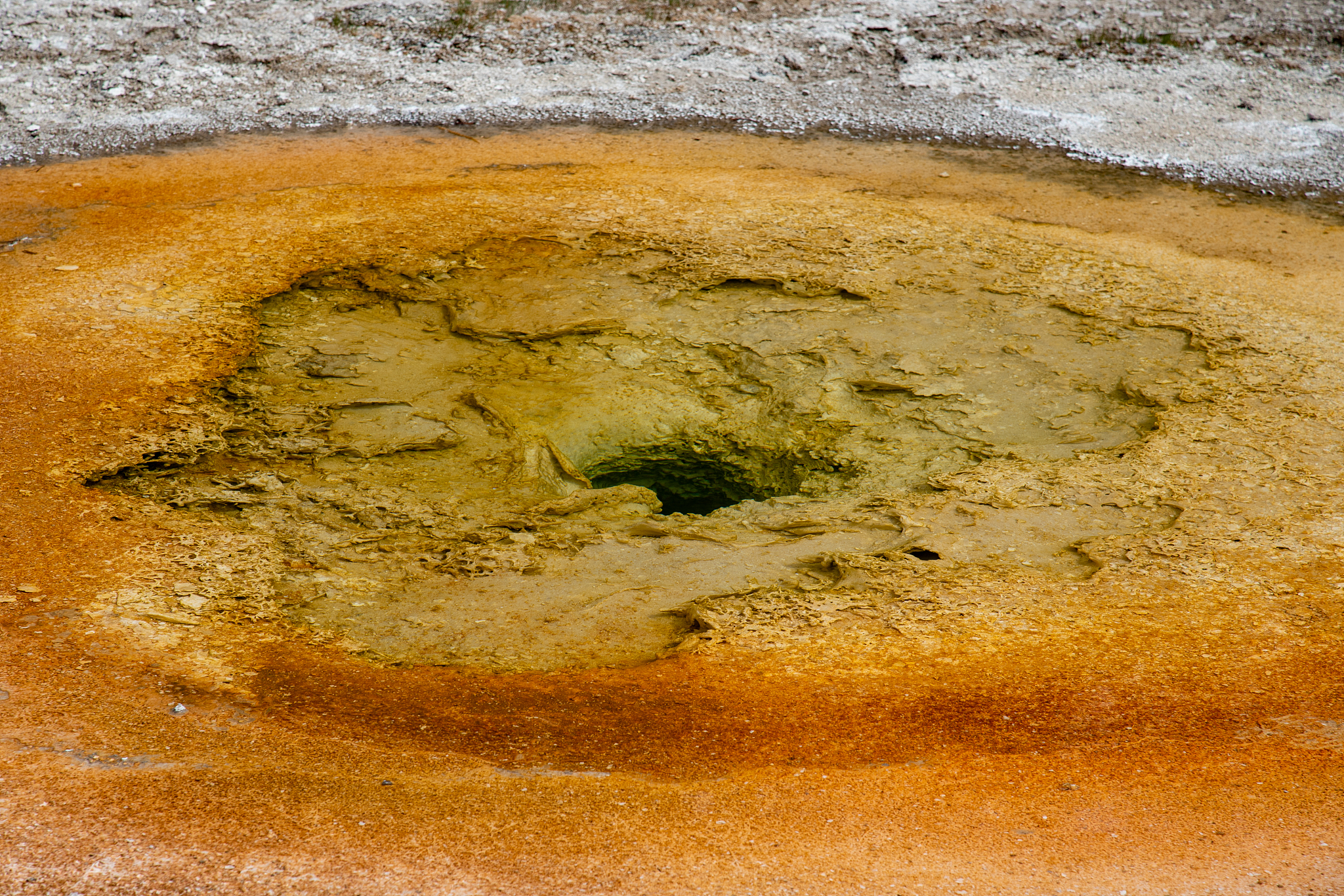 服务之星员工宣传