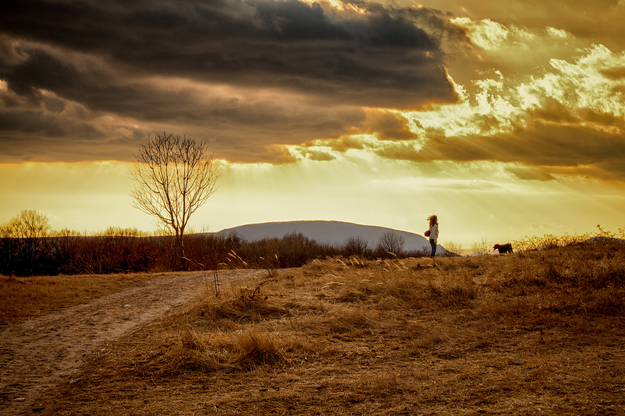 阅读下面的文字根据要求作文。一个不成熟的人的标志是他愿意为某种事业英勇地死去一个成熟的人的标志是他愿意为某种事业卑贱地活着。 《麦田里的守望者》对此你有怎样的思考写一篇议论文阐述你的看法要求论据使用准确论点明晰自拟标题不少于800字。 高中语文作文