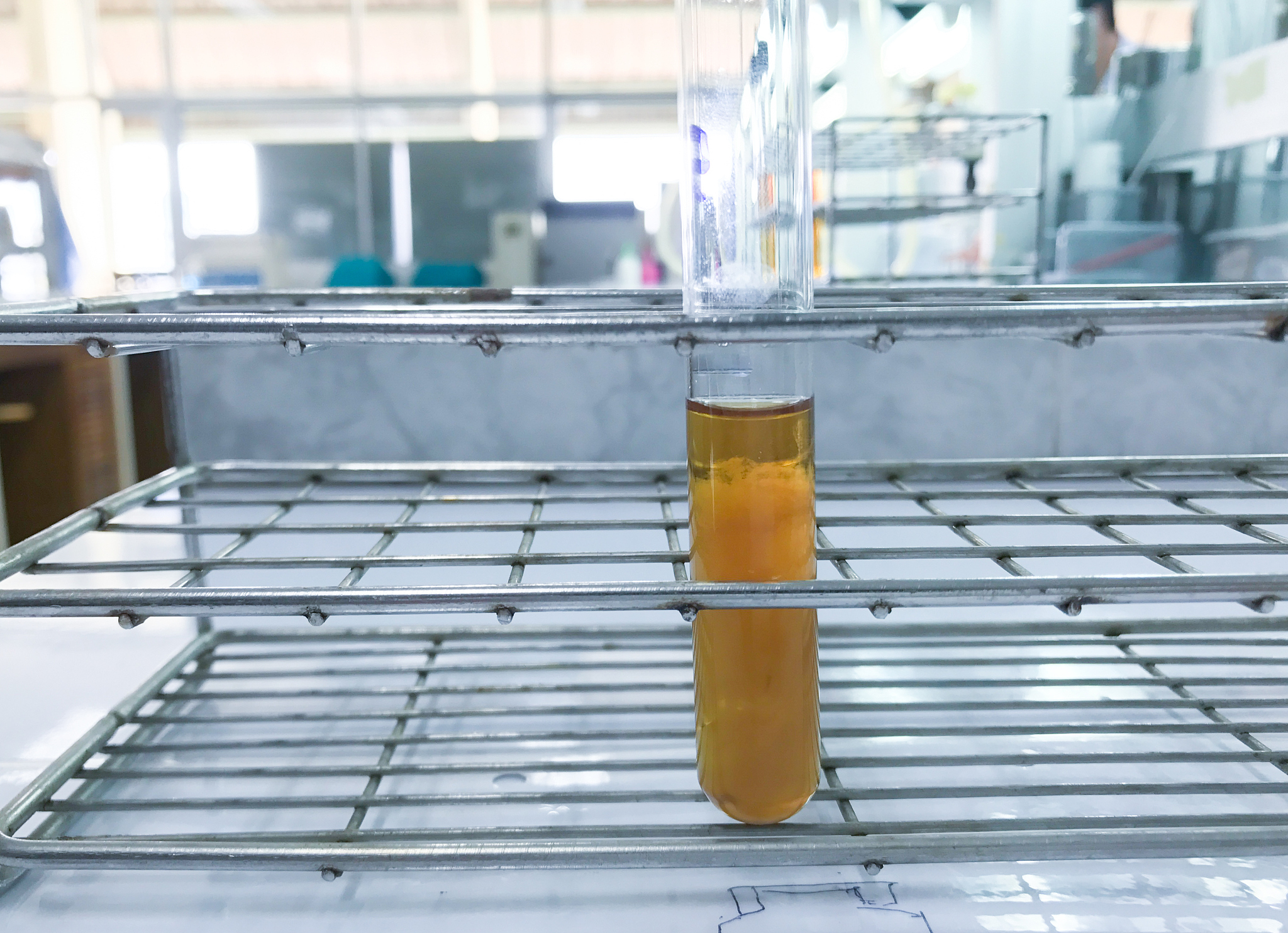 描述分析分批灭菌过程中升温恒温和降温阶段的蒸汽与培养基的接触方式冷却水与培养基的接触方式