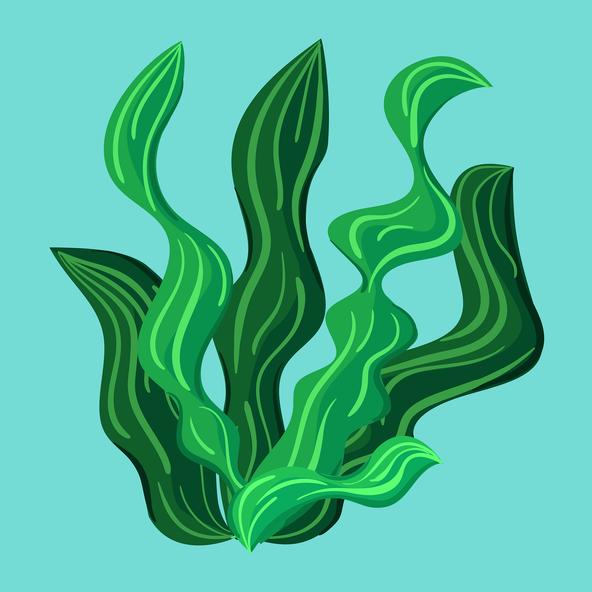 <strong>海草</strong>,分离着色,鸡尾酒,自然,野生动物,海洋,草,海藻灰,叶子,复古