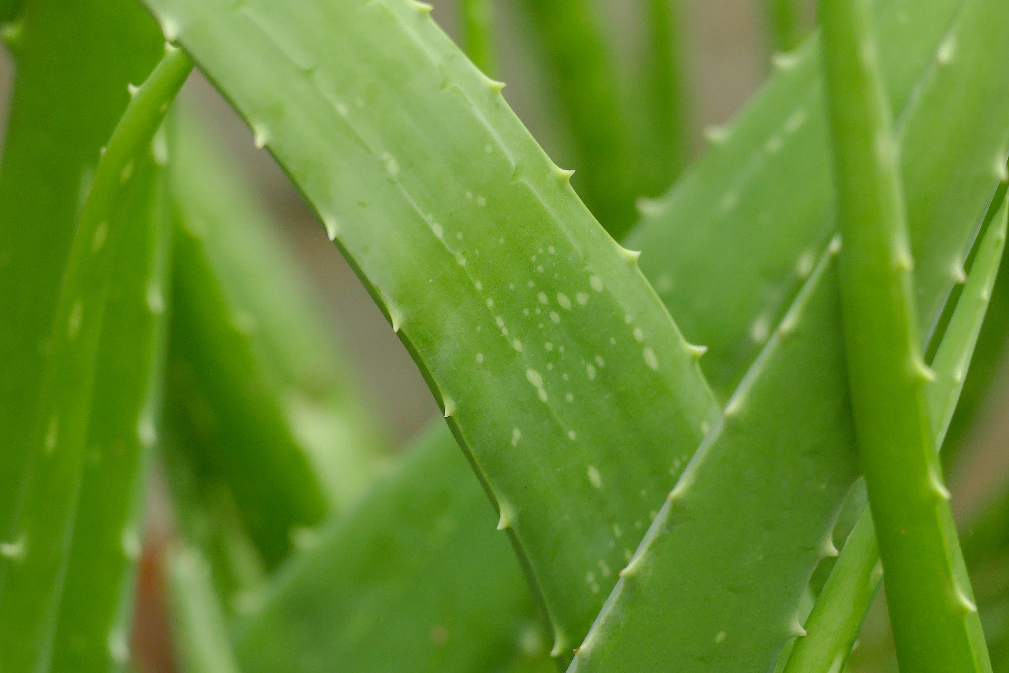 云南省玉溪卫生学校2020年春季招生办联系电话