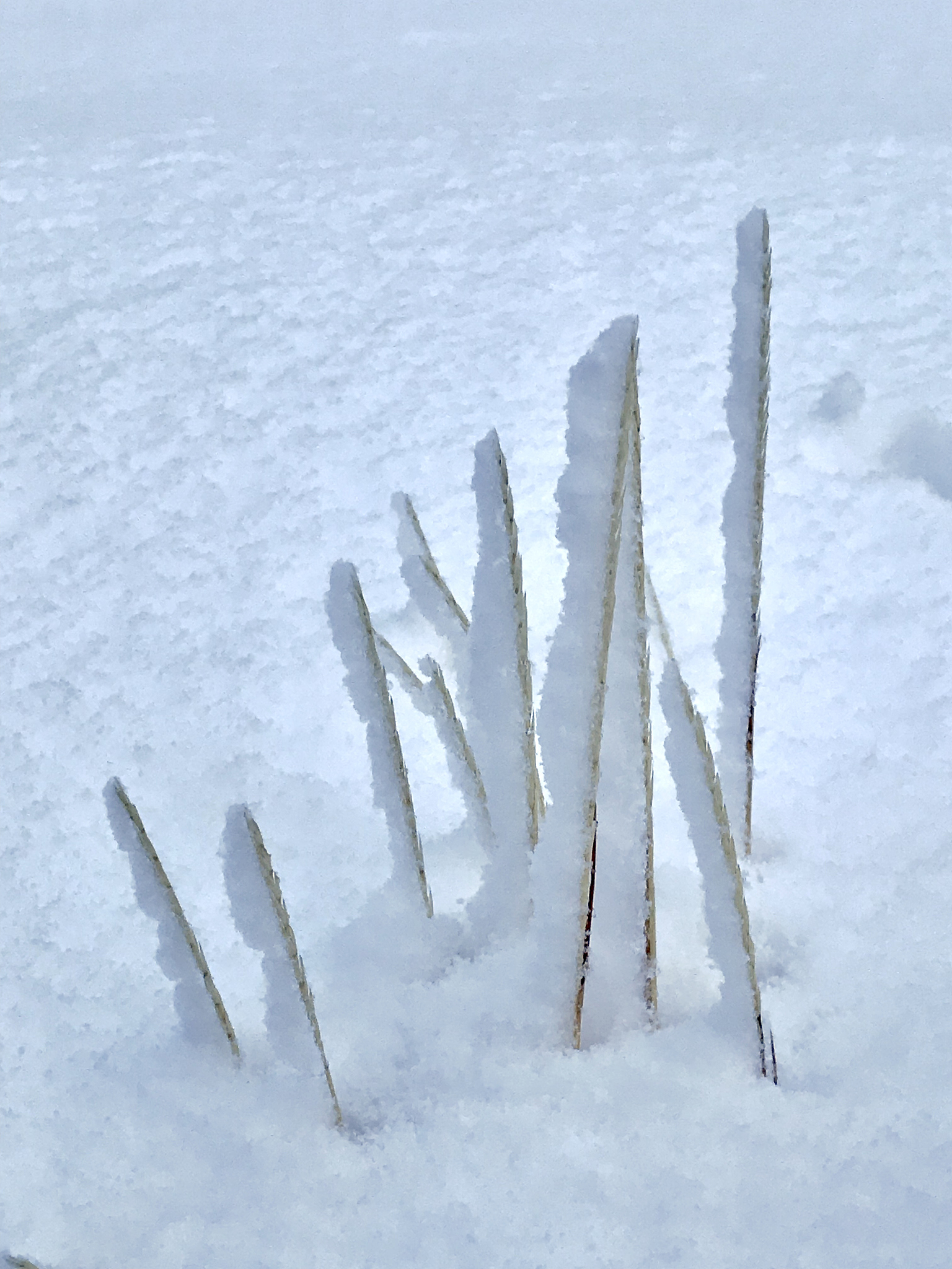 冬天沟渠里的雪怎么辨别方向，