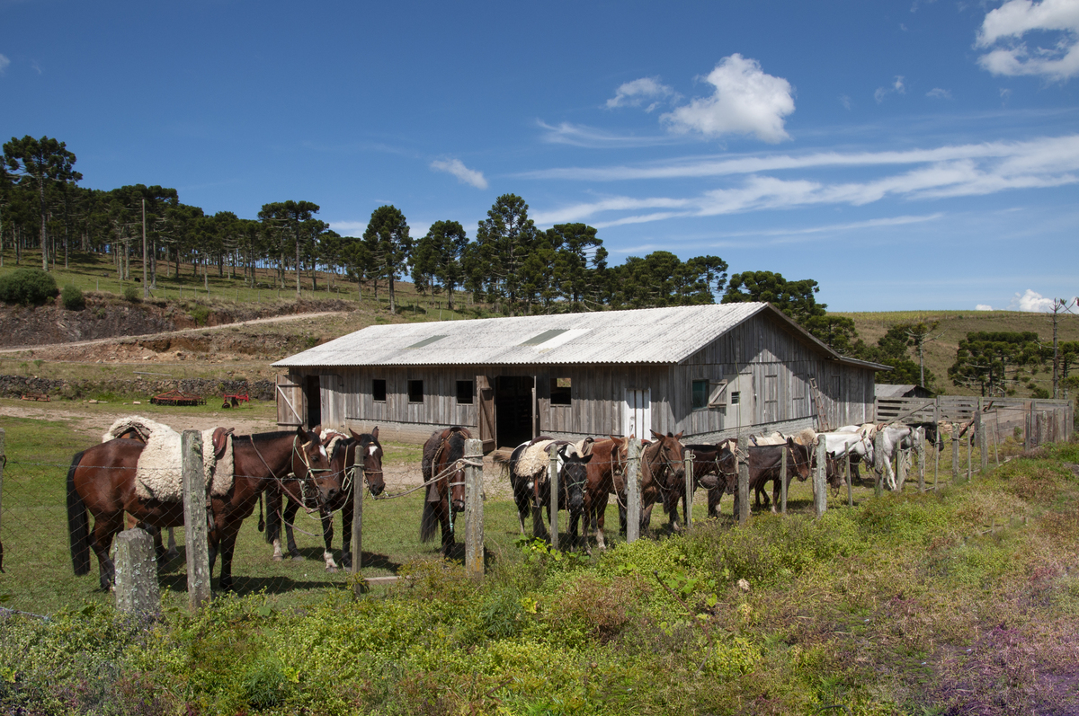 What Benefits Does Britain's Mild Climate Offer Besides Agriculture?