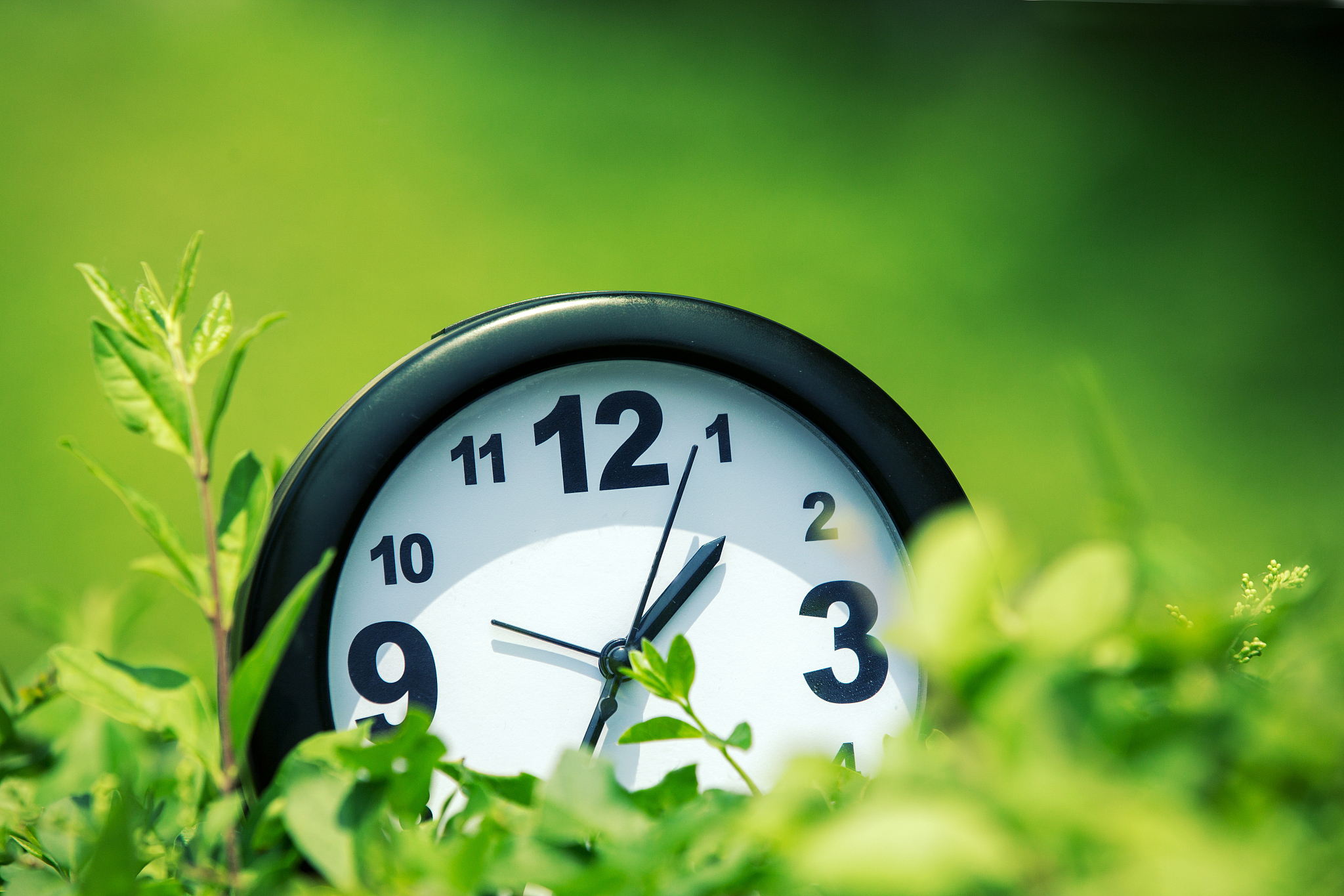 来日方长？别等了！珍惜时间，现在就行动！