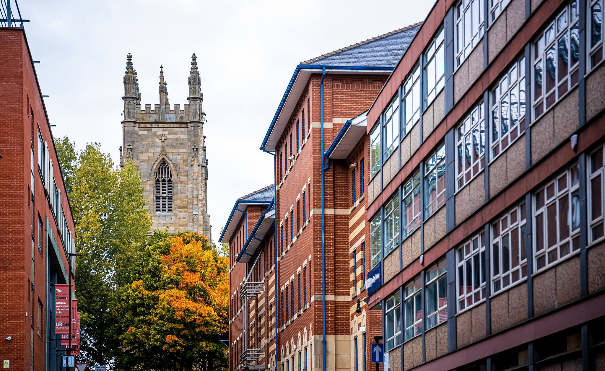 view of central part of sheffield in the autumn, england, uk