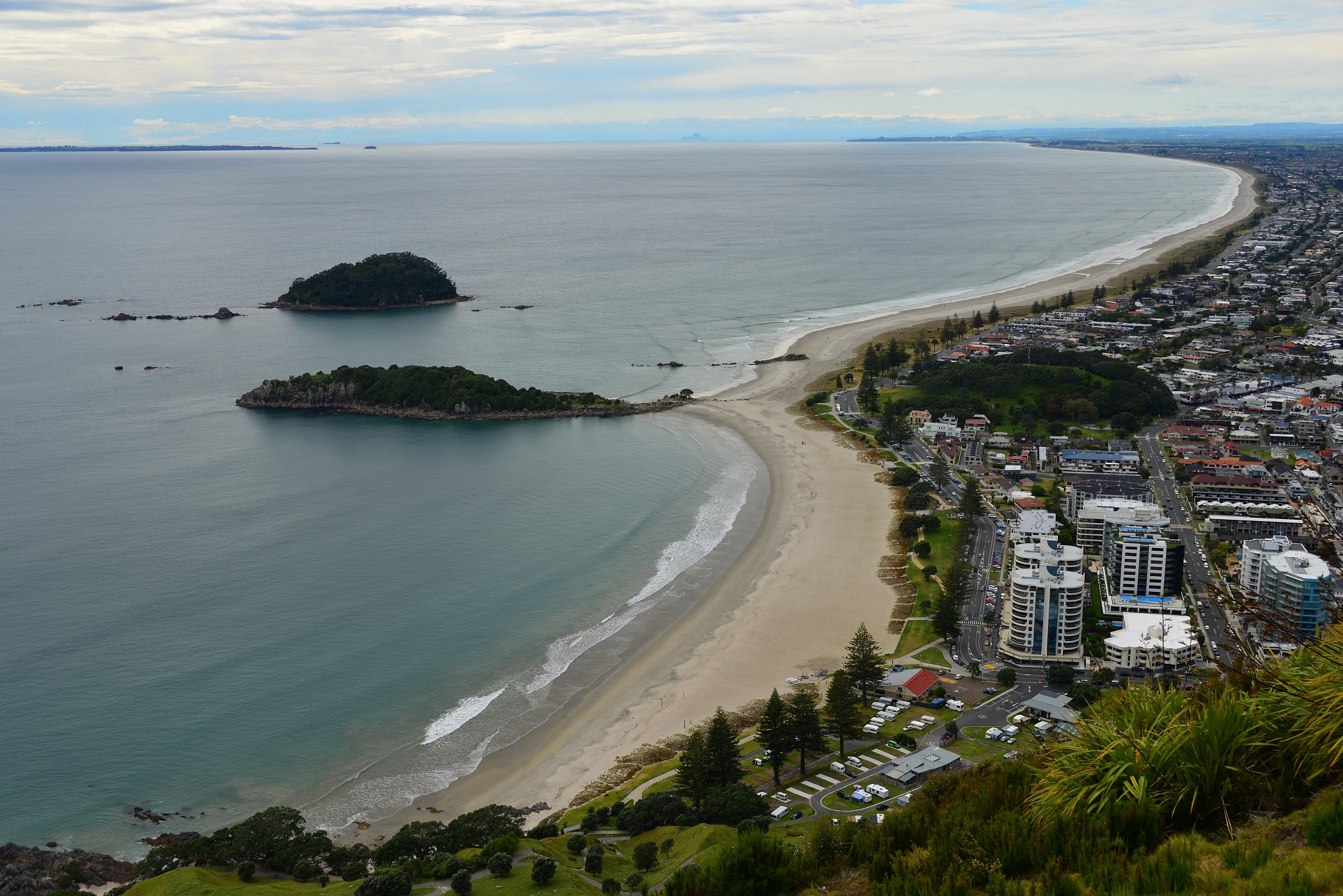 bay of plenty