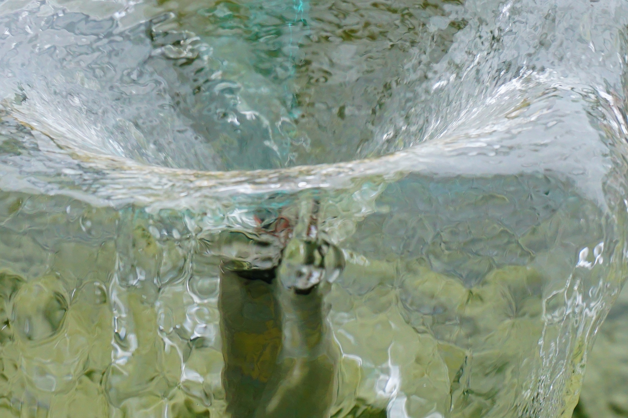 water fountain in home