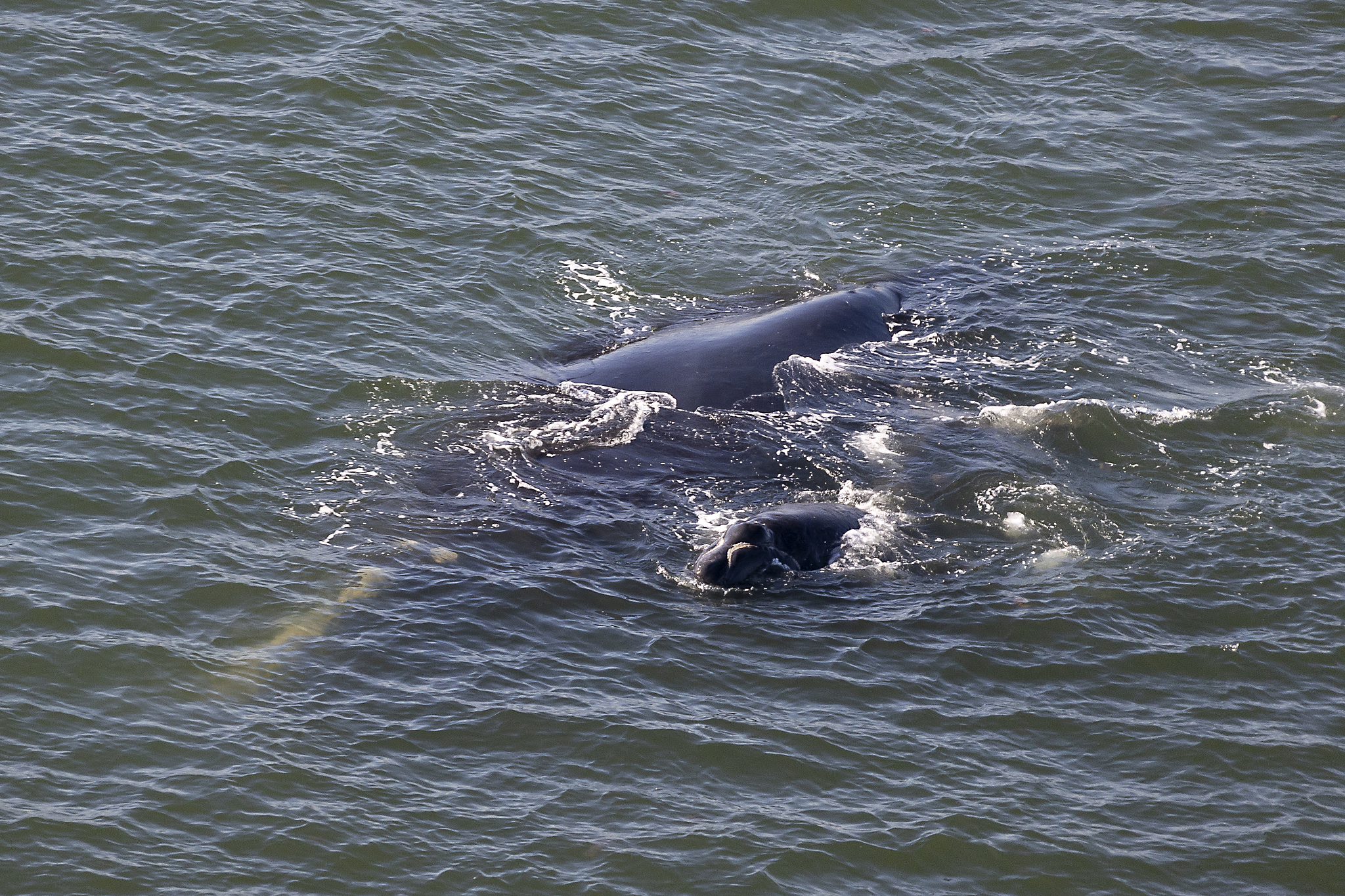 宁波海洋职业技术学校2022年专业设置：新增海洋环境监测与治理、海洋生物技术等