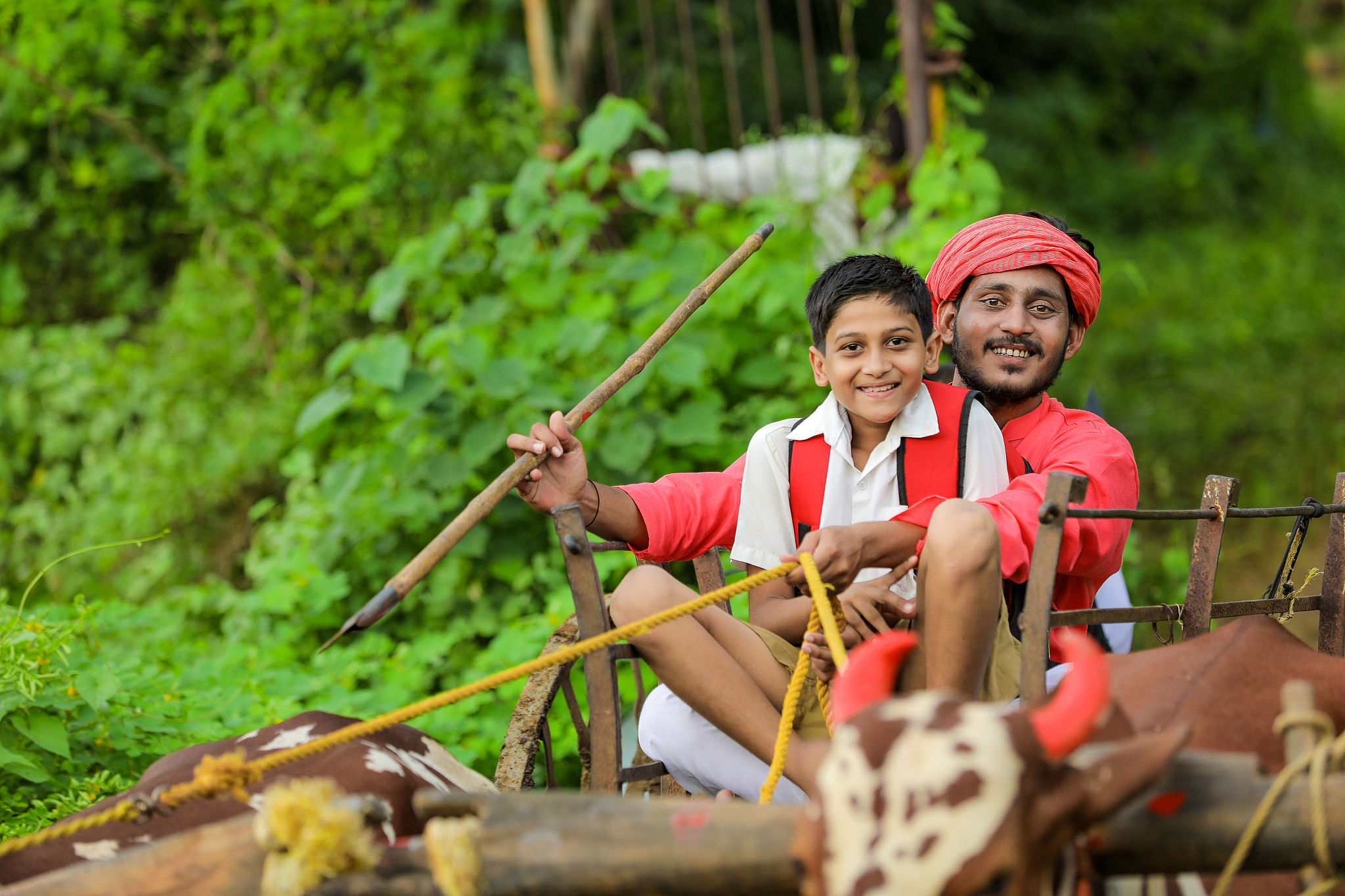 indian farmer and little school child on bullock cart