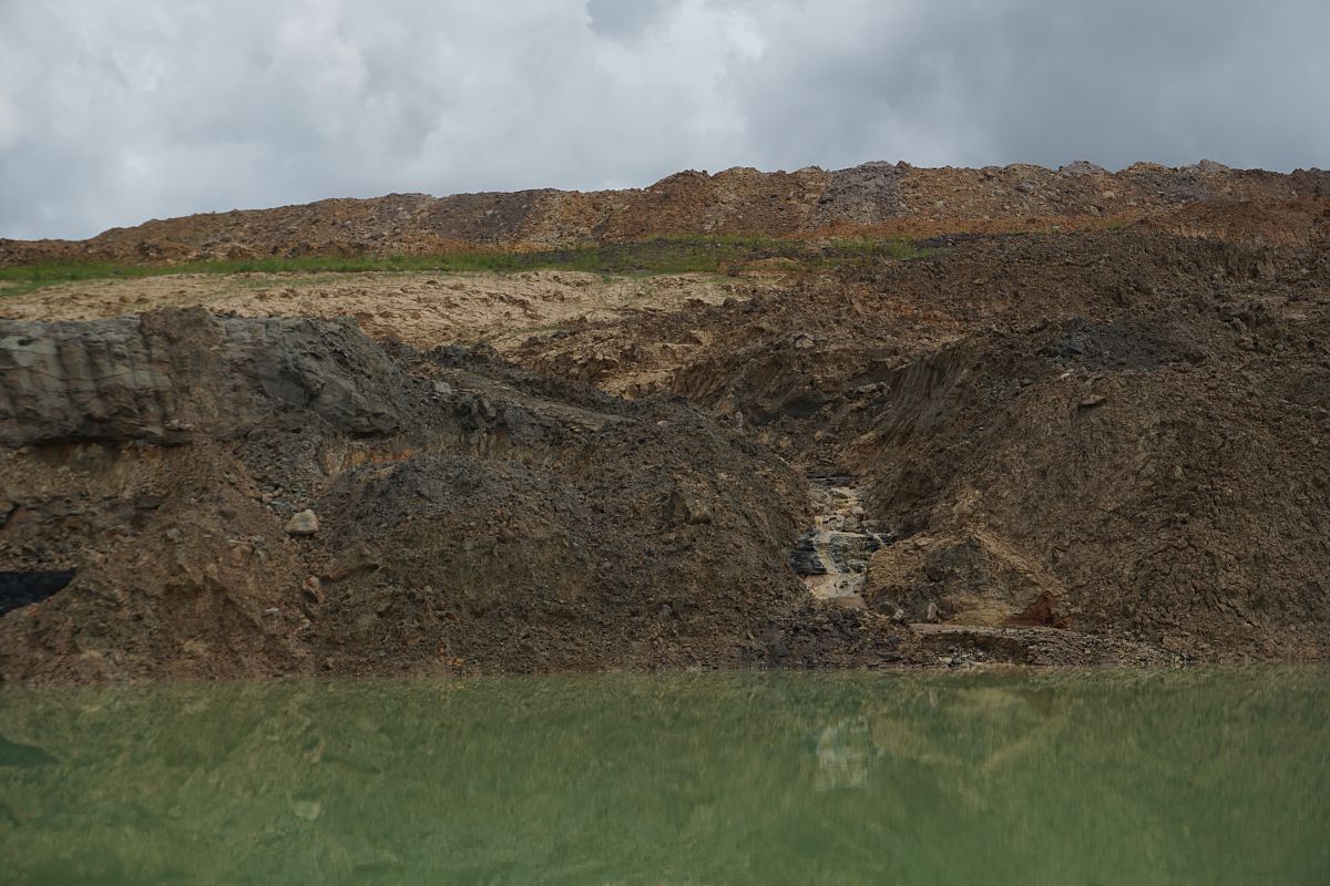 遵义市锰矿区土壤重金属污染调查与分析