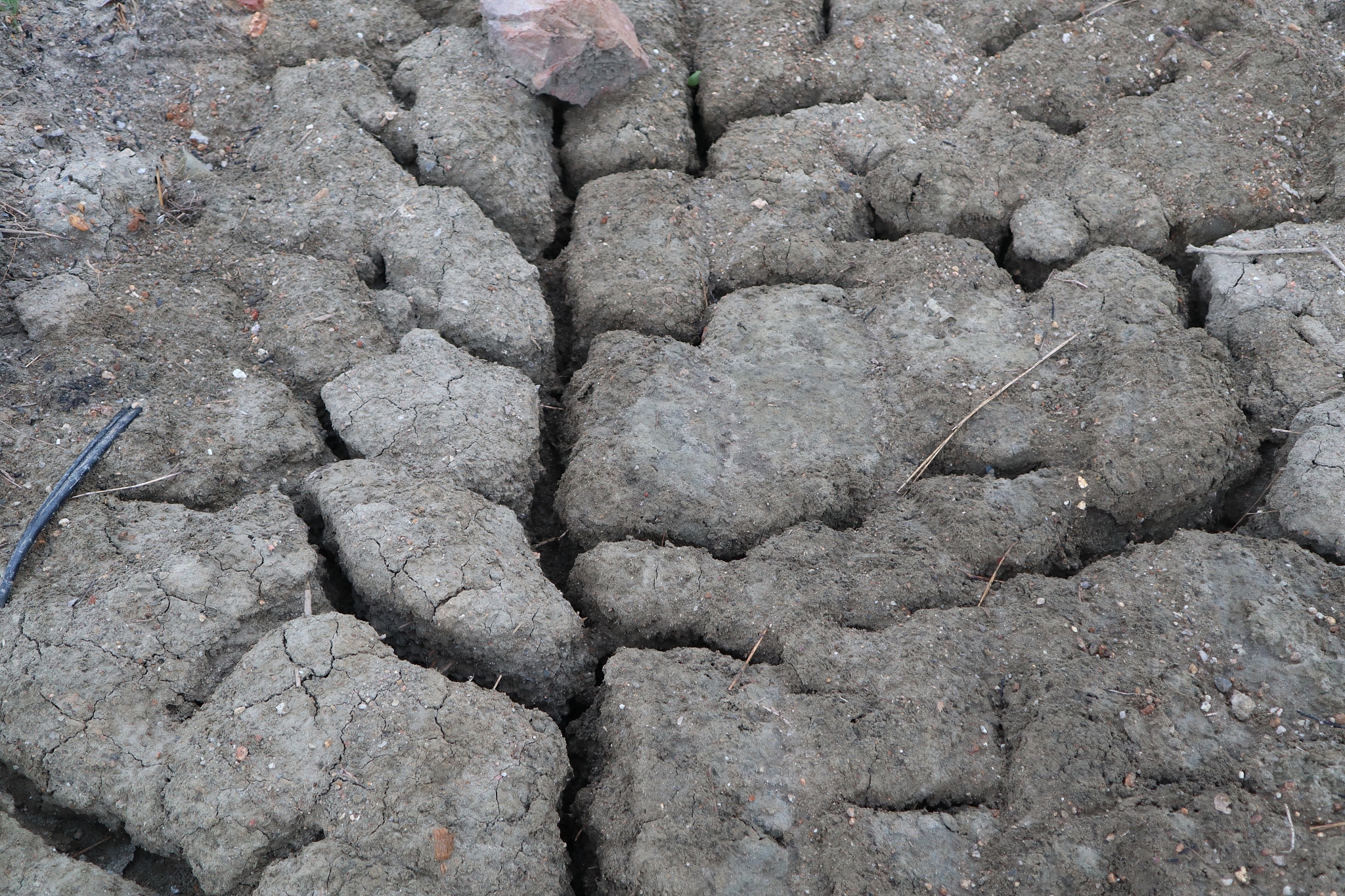 比表面积大但是容易坍塌的物质