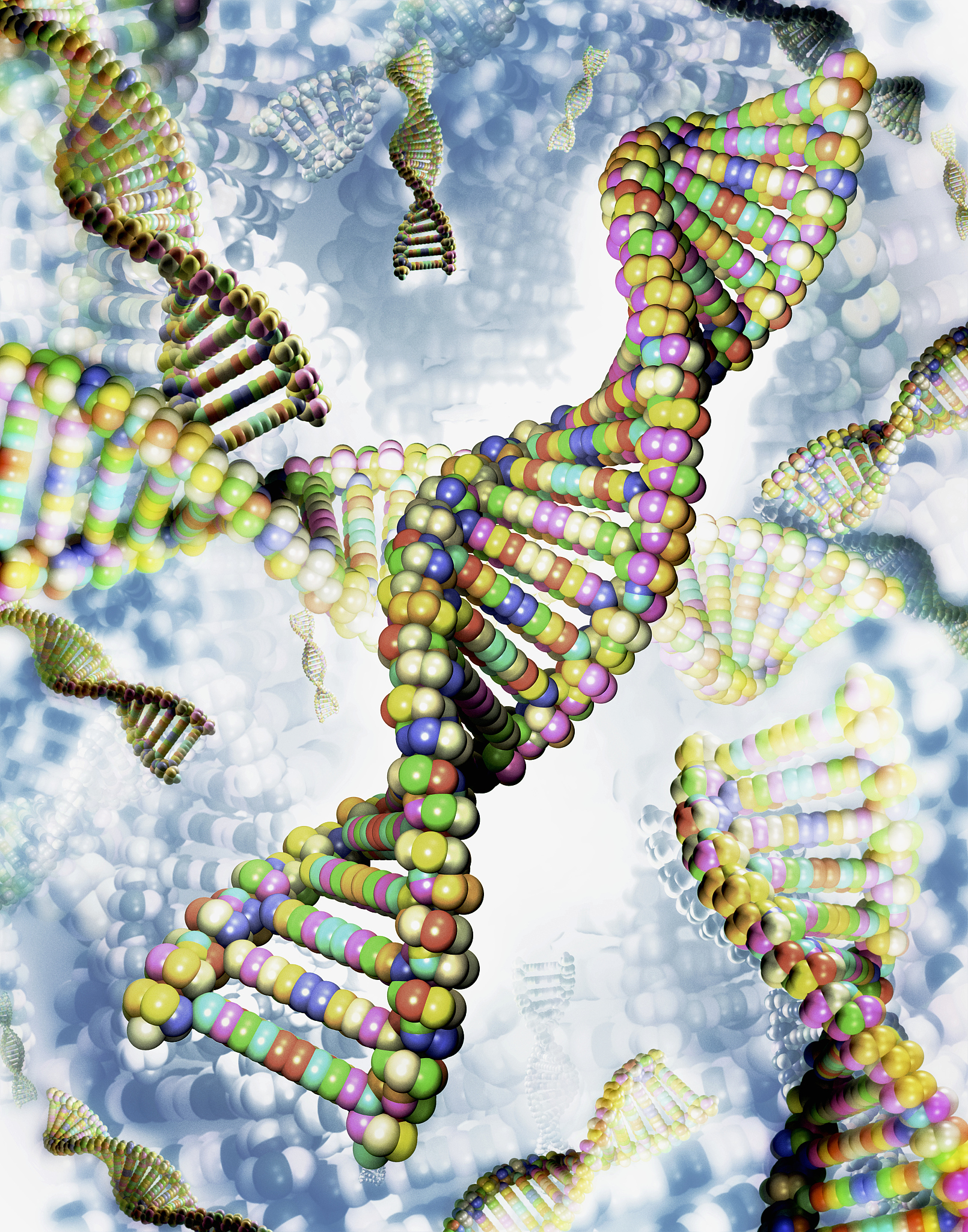 BREEDING SCIENCE: 推动育种科学发展的国际期刊