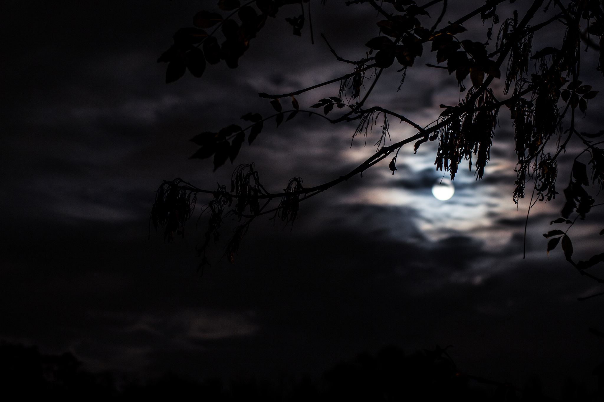 无无声处听惊雷下一句