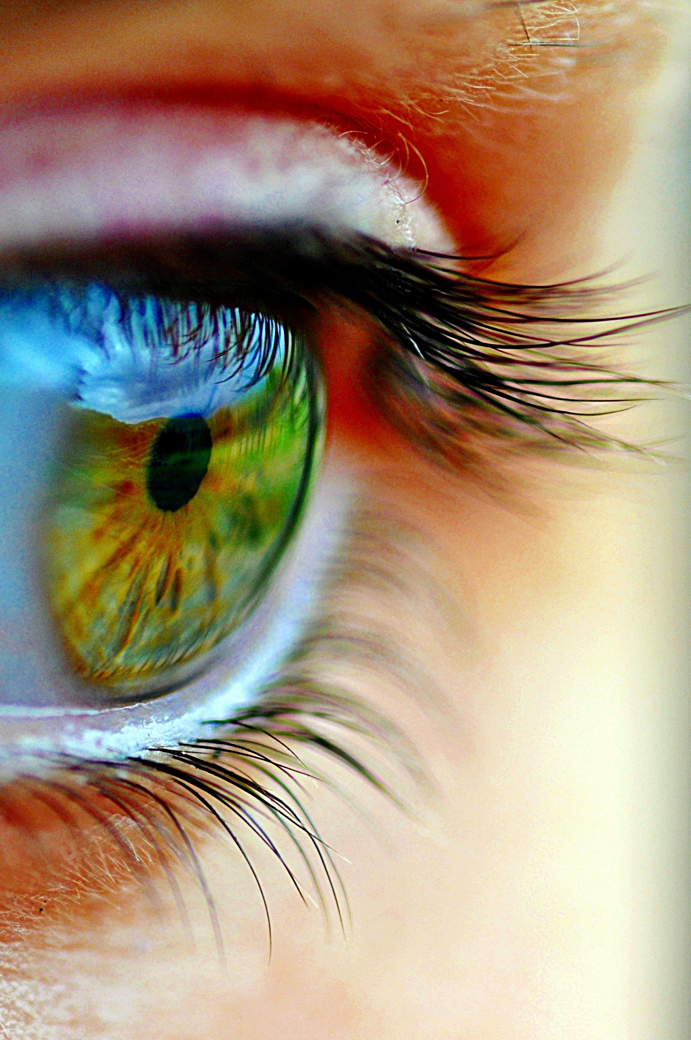 close up of human eye