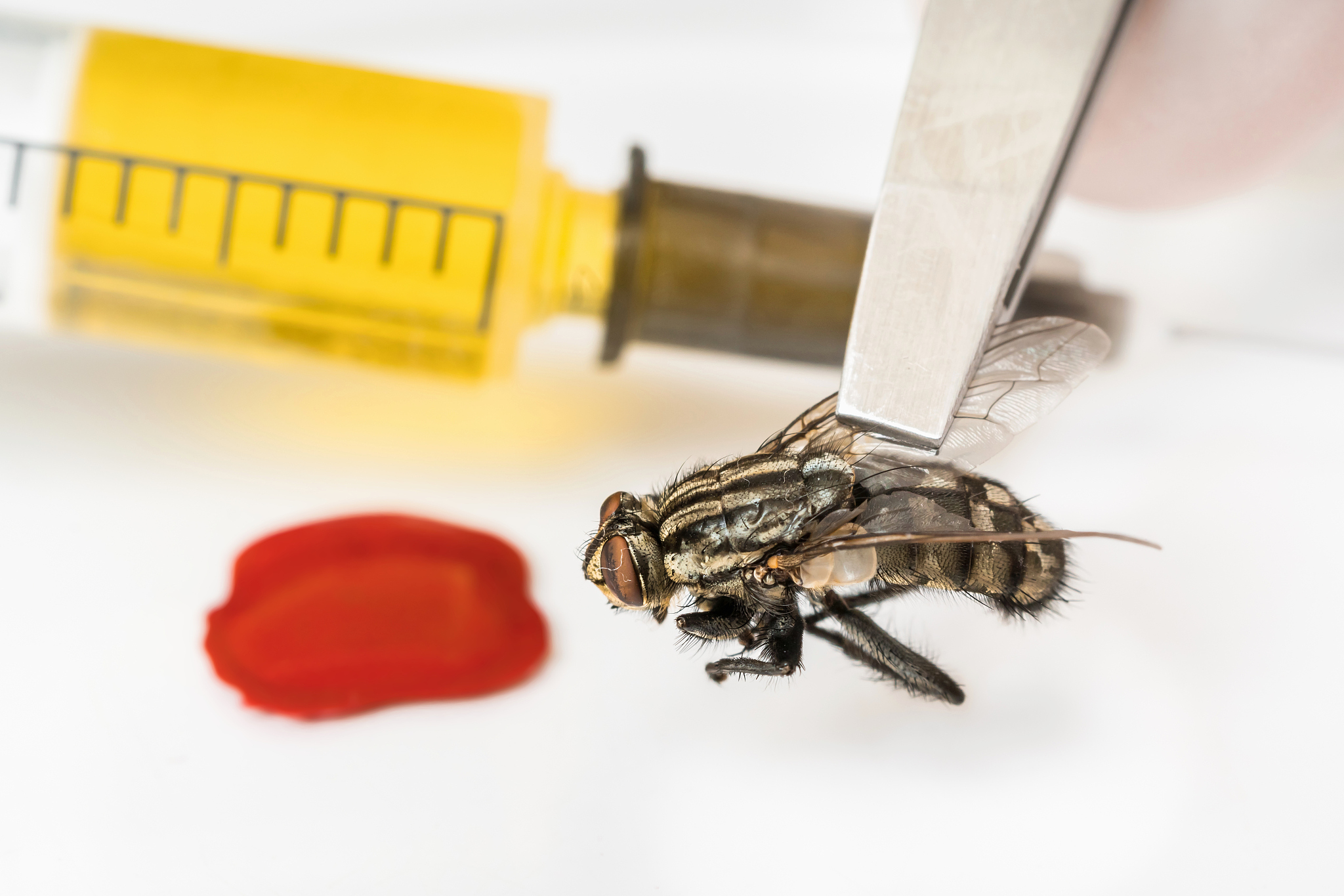 昆虫生物化学与生理学研究必读期刊: ARCHIVES OF INSECT BIOCHEMISTRY AND PHYSIOLOGY