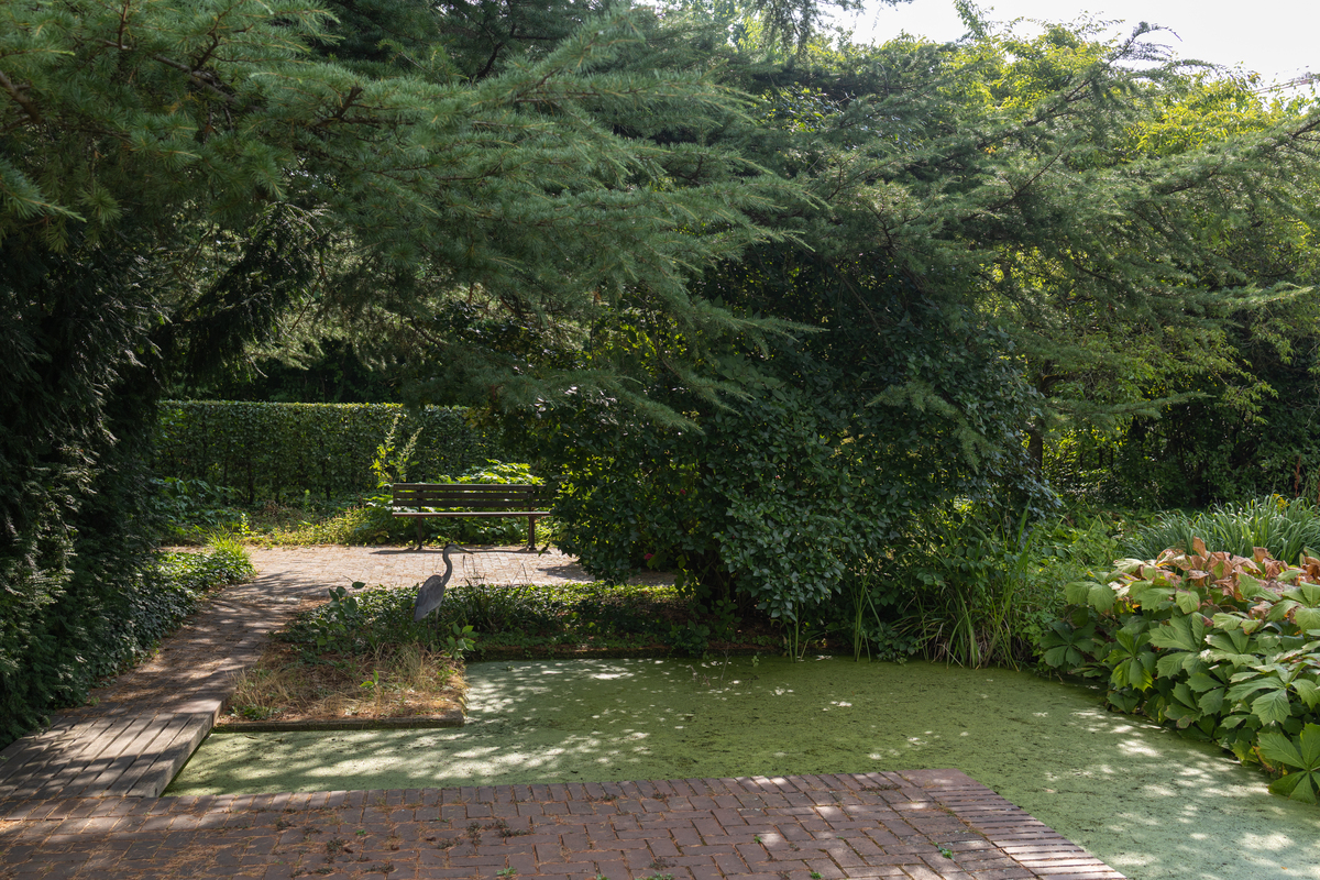 西安兴庆公园乡土植物应用调查：种类、数量及应用价值分析