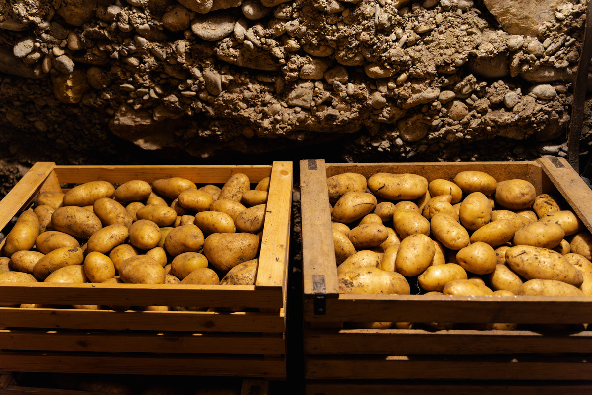 土豆放多久不能吃？保存技巧及安全食用指南