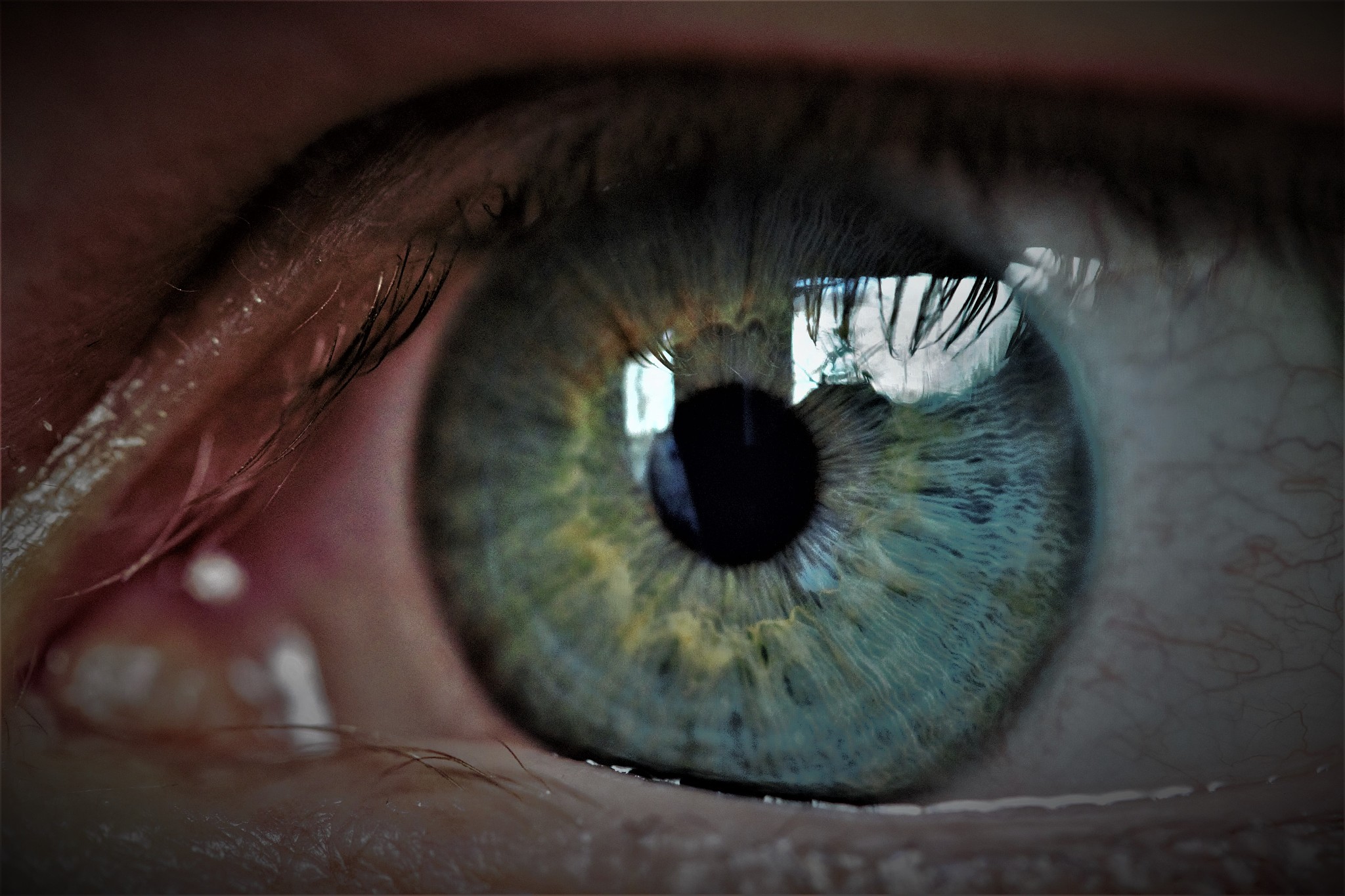 close-up portrait of man eye
