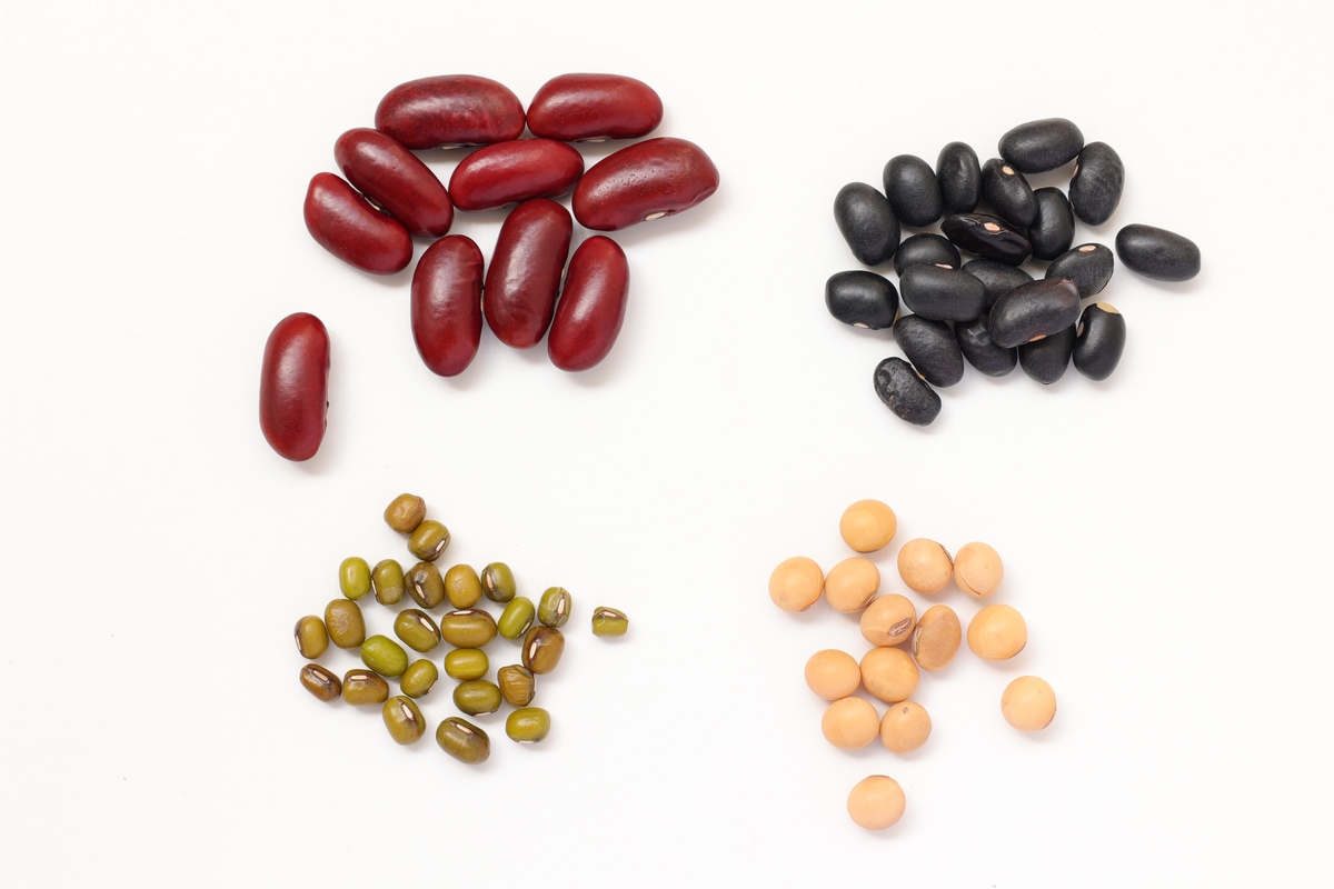 自动生成10条平价包含白芸豆效果不错真的很好用身材保持的很好