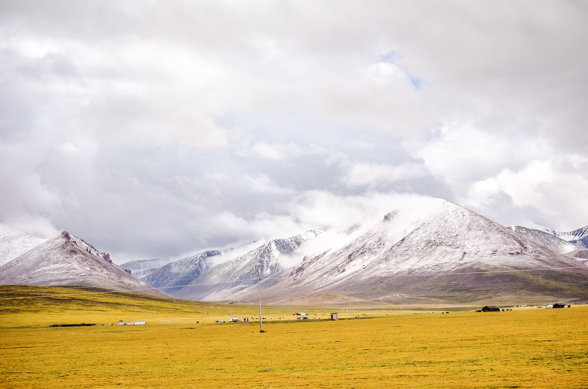 青藏高原旅游资源概览：高山雪域、高原草原、湖泊湿地、地质奇观与珍稀动植物