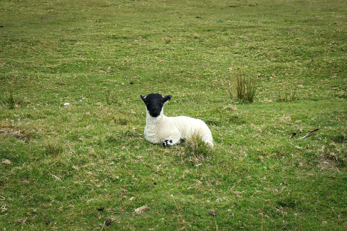武汉航空工业职业技术学院2022年3+2五年制大专招生简章