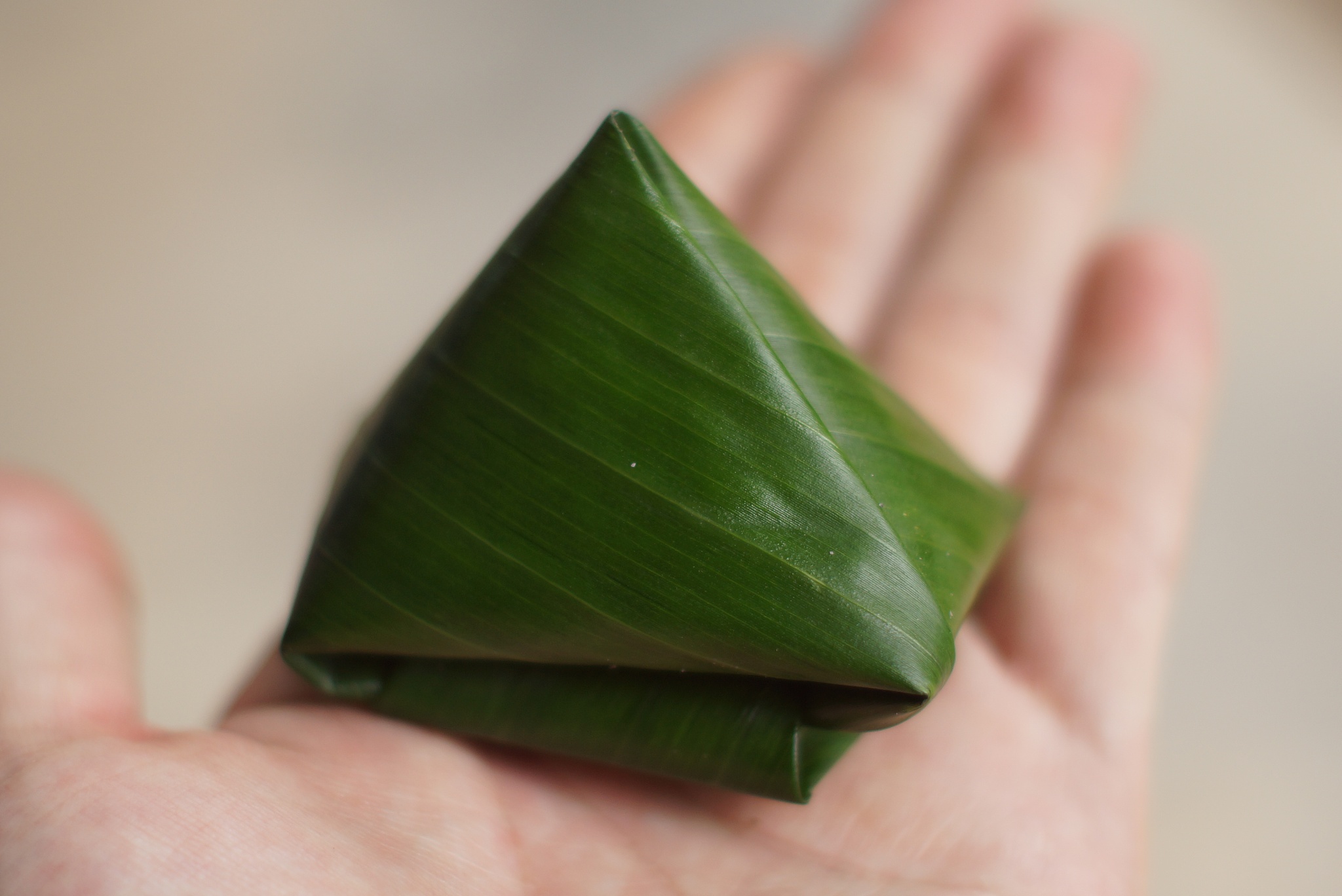 cropped hand holding leaf