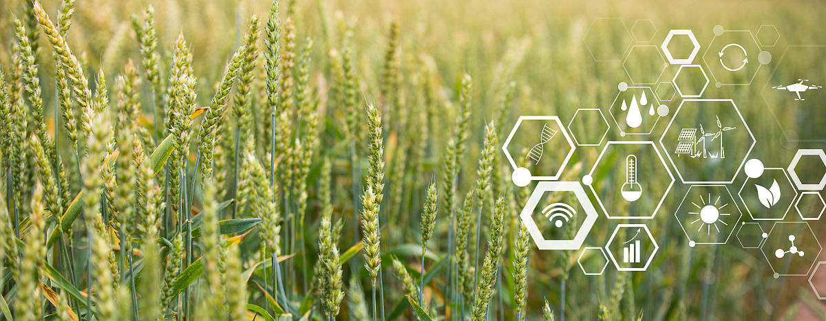 曲靖农业学校2019年五年制普通大专报名网站