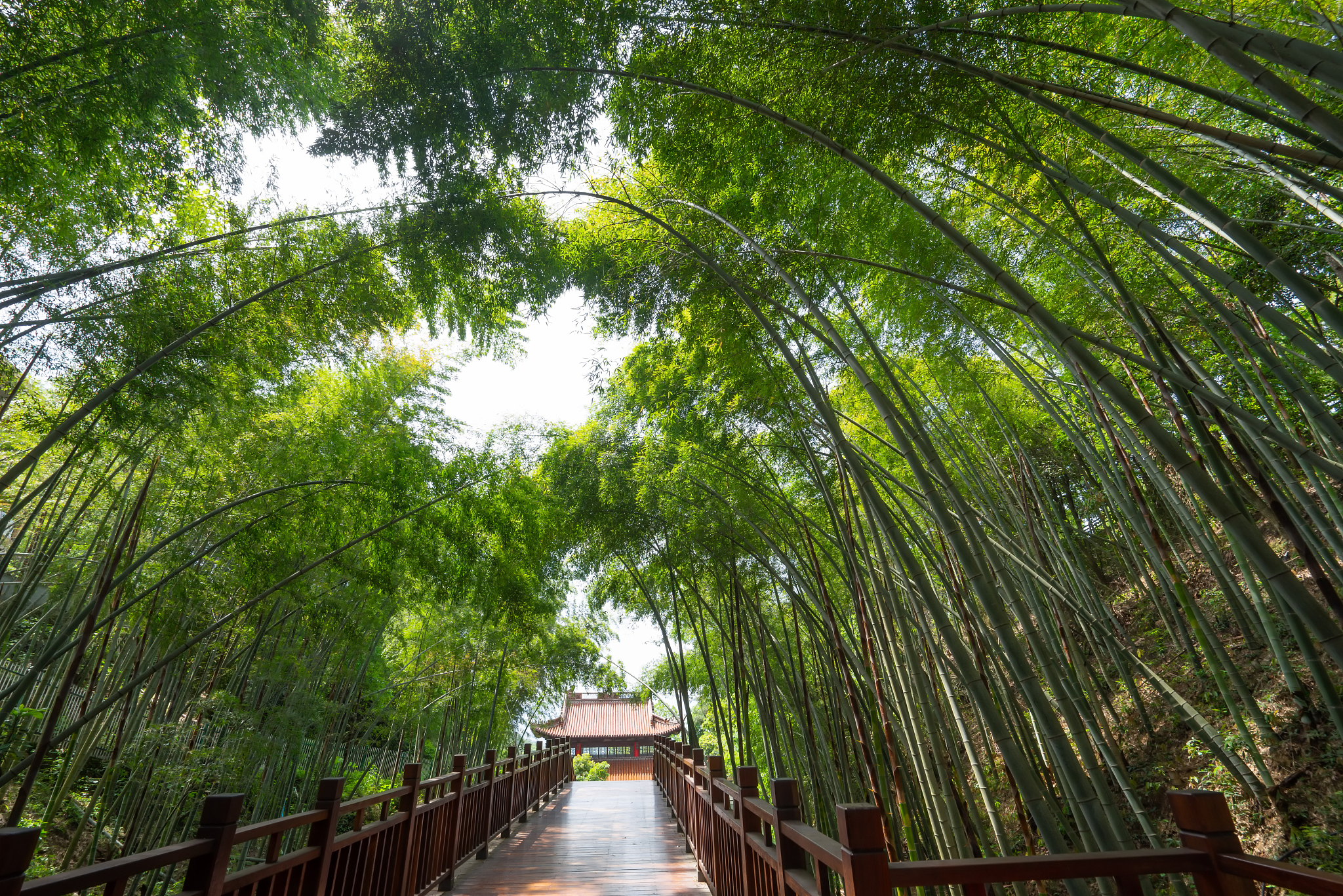 西附大竹林怎么样