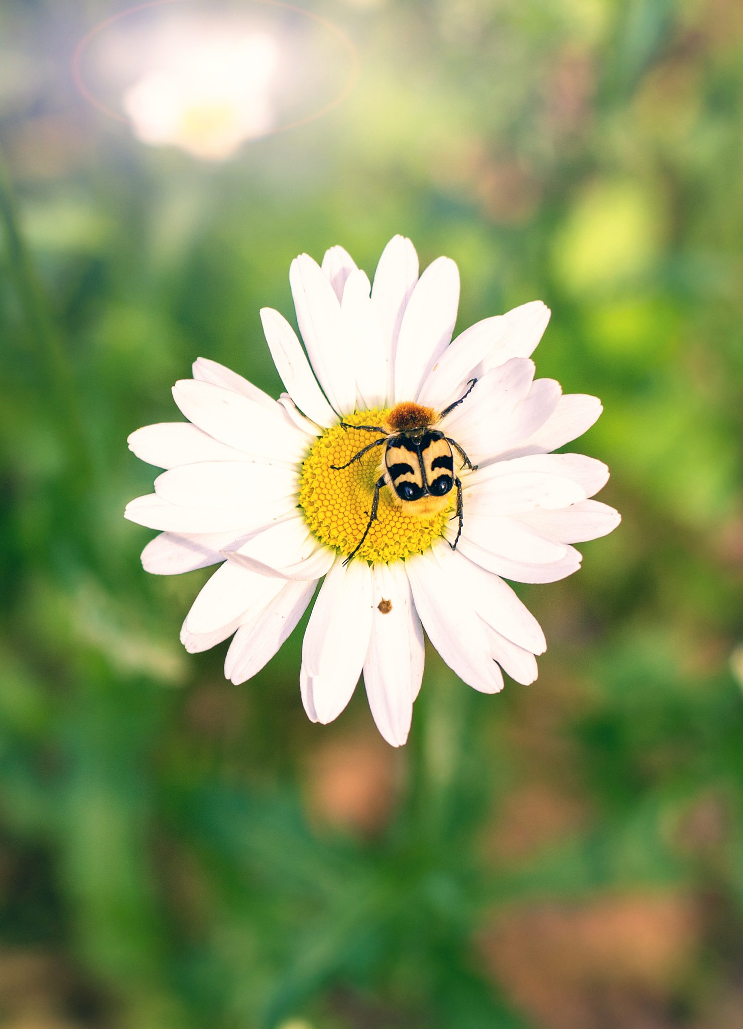 园林技术职业环境因素