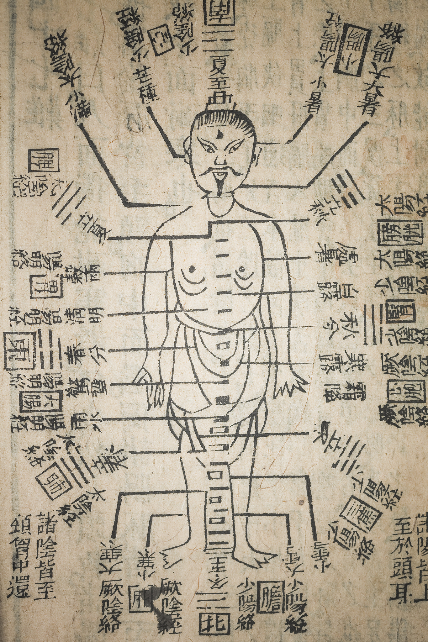 少阴少阳：中医经脉理论与疾病特征解析