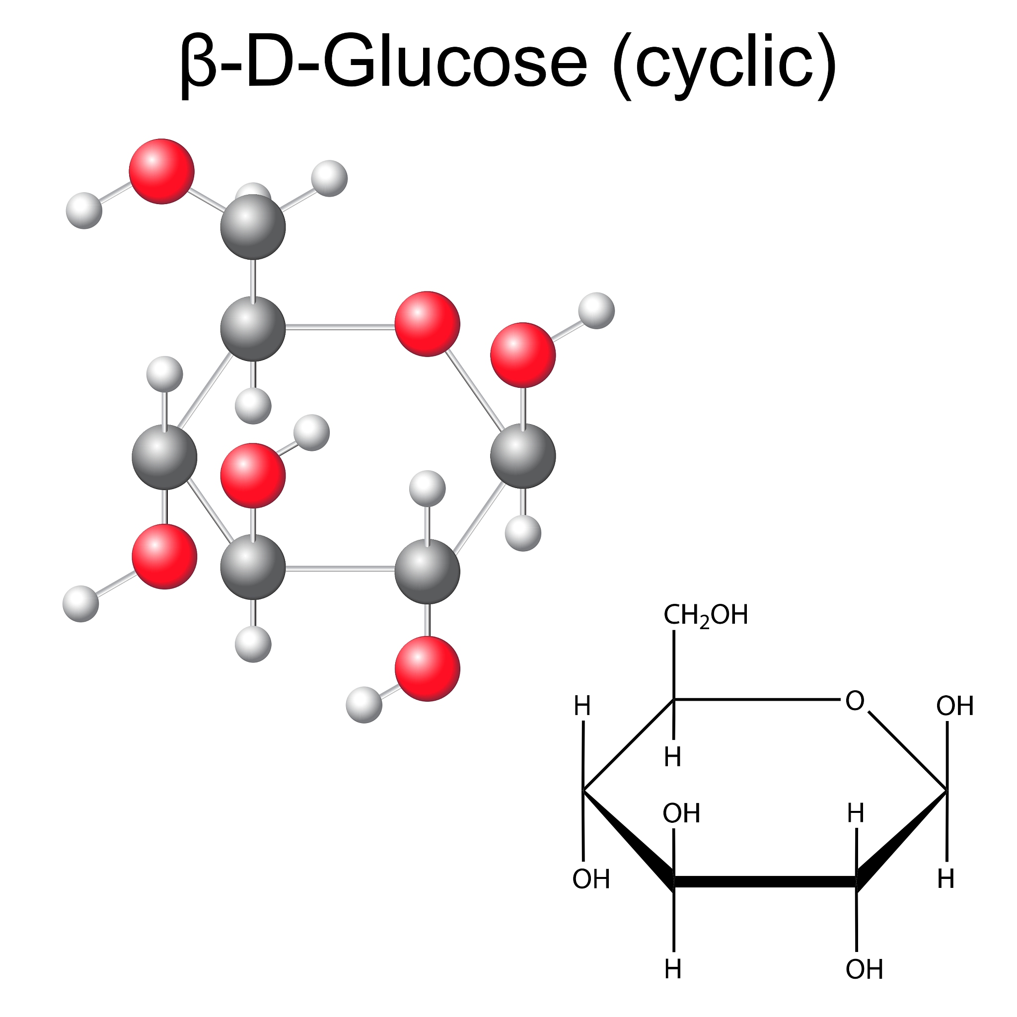 structural chemical formula and model of glucose