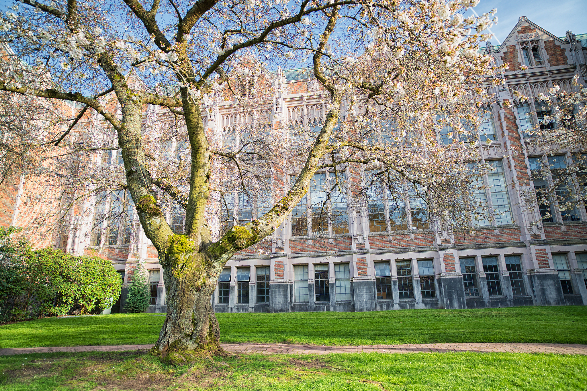 spring campus