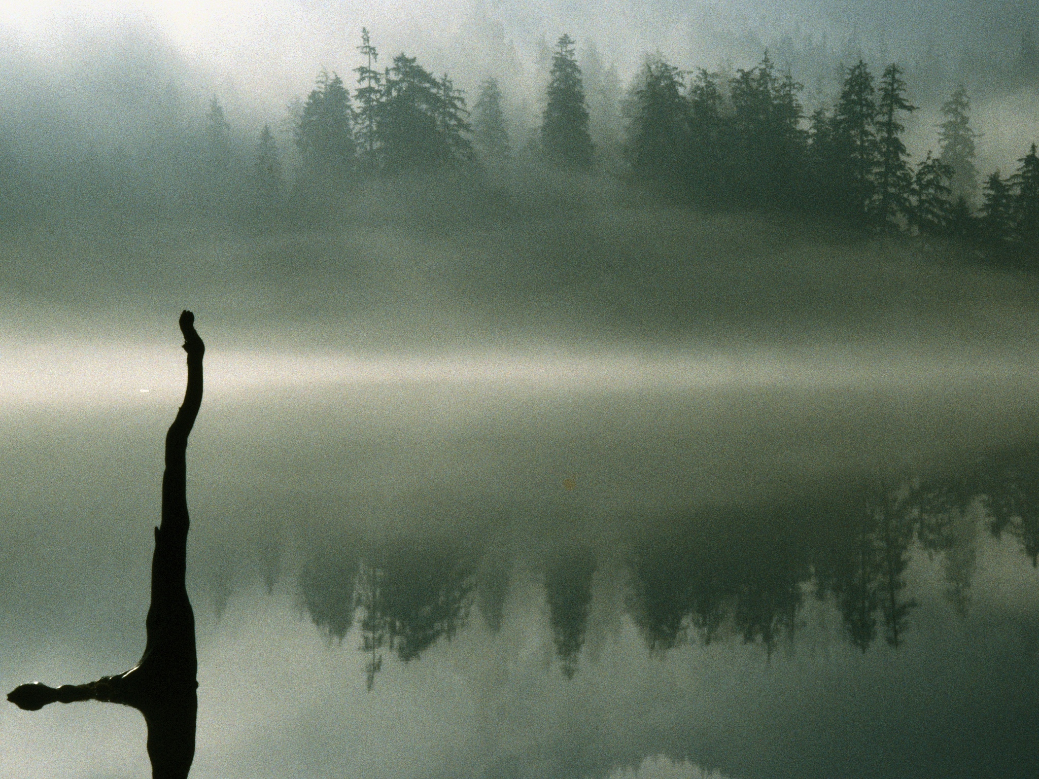 我的小天地：心灵归宿，自由空间