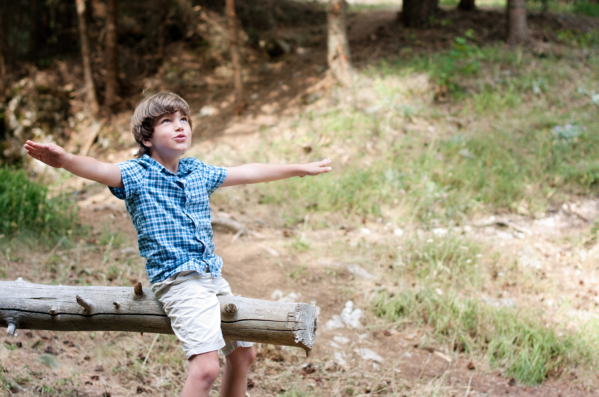 boy sitting on tree