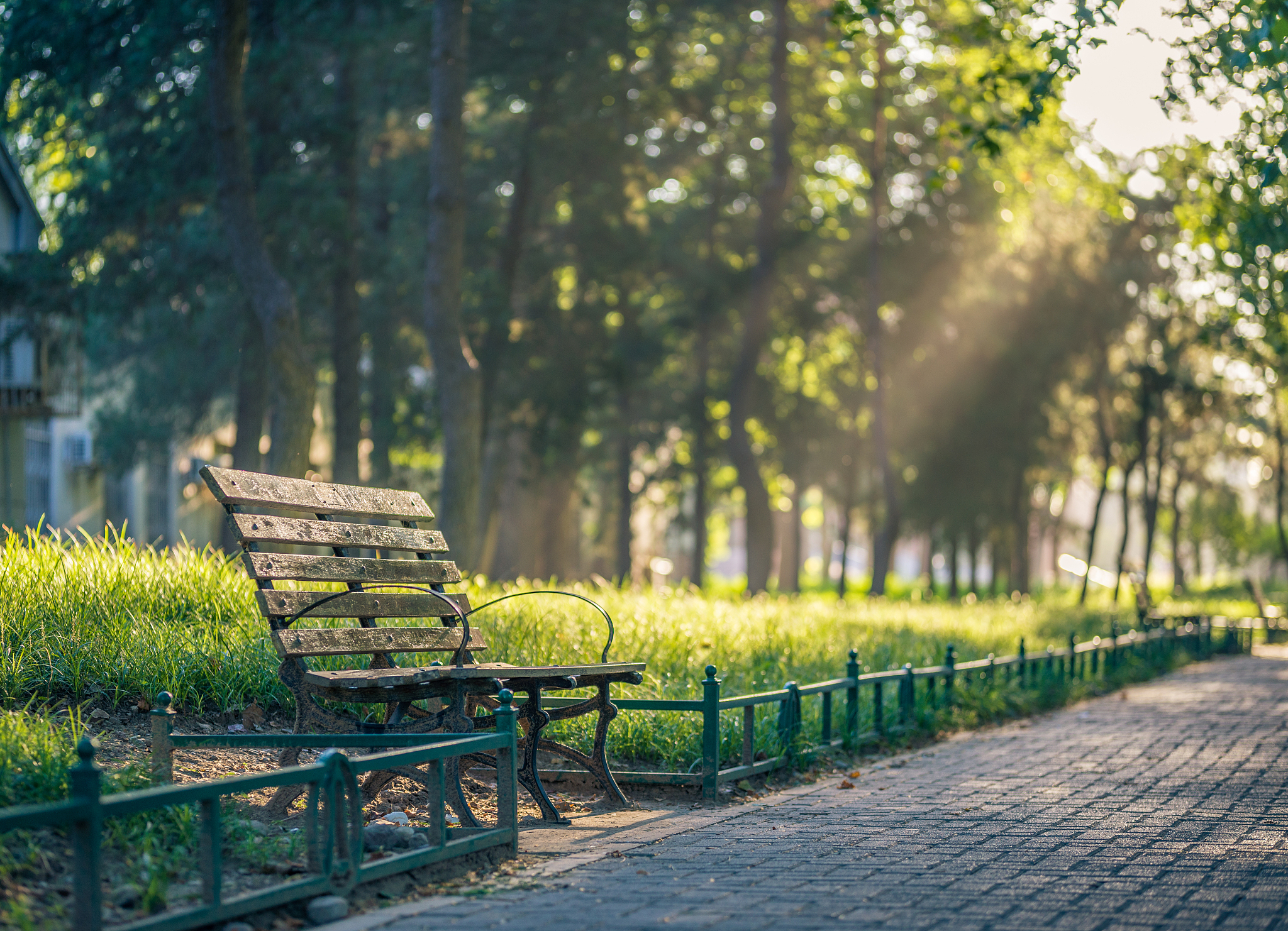 用唯美的意境形容大学校园美好景物的摄影图片