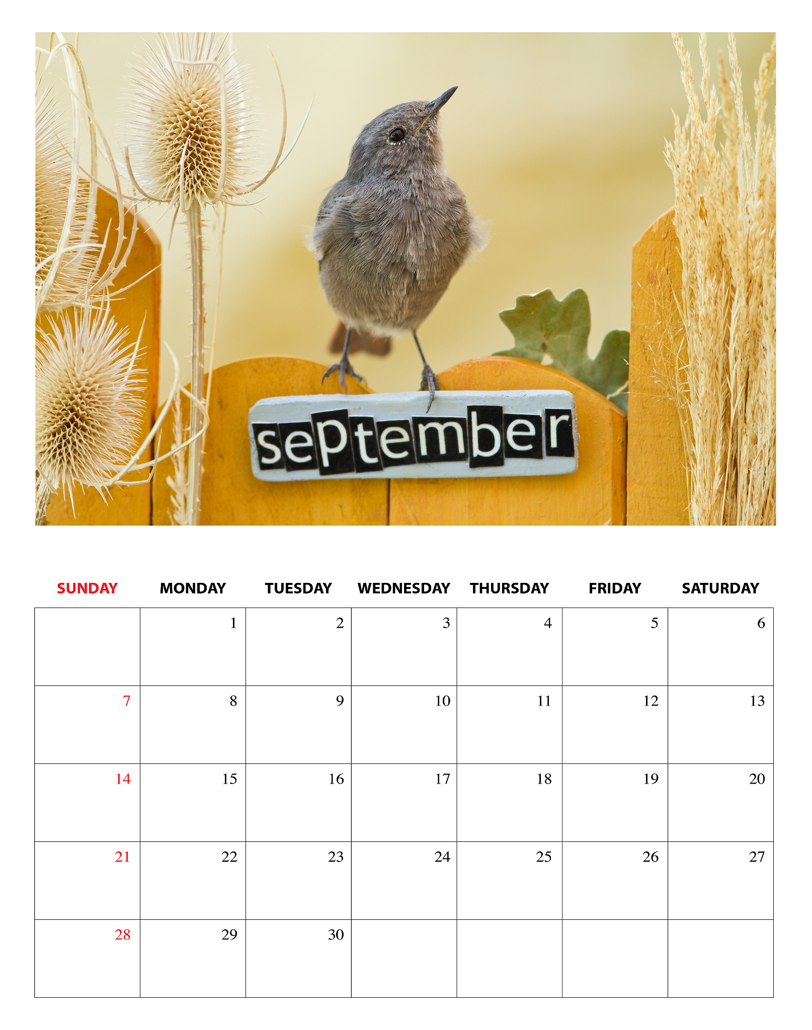 Birdwatching Heroes: Two Teenagers Save Osprey Eggs