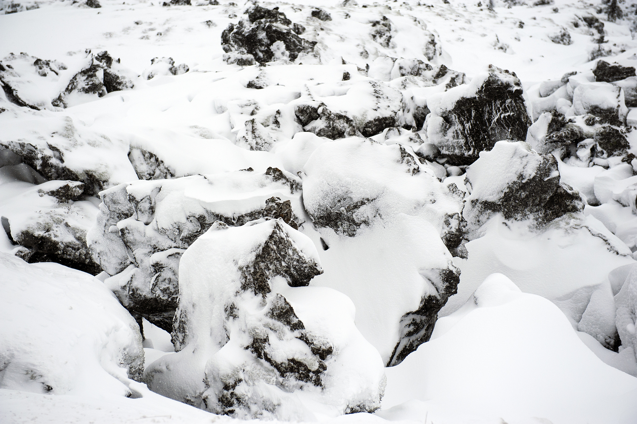 西藏拉萨是哪一年下雪最大 用250字帮我描述