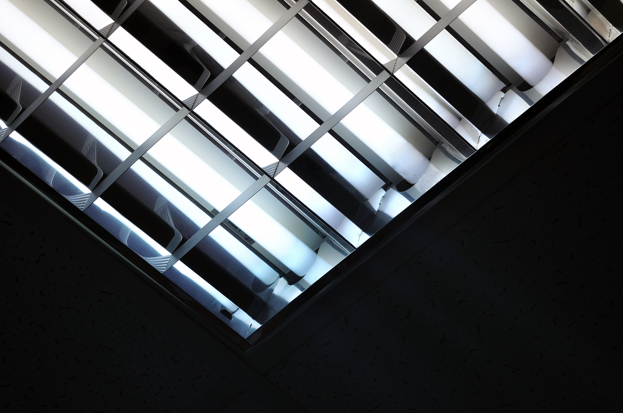fluorescent lamp
