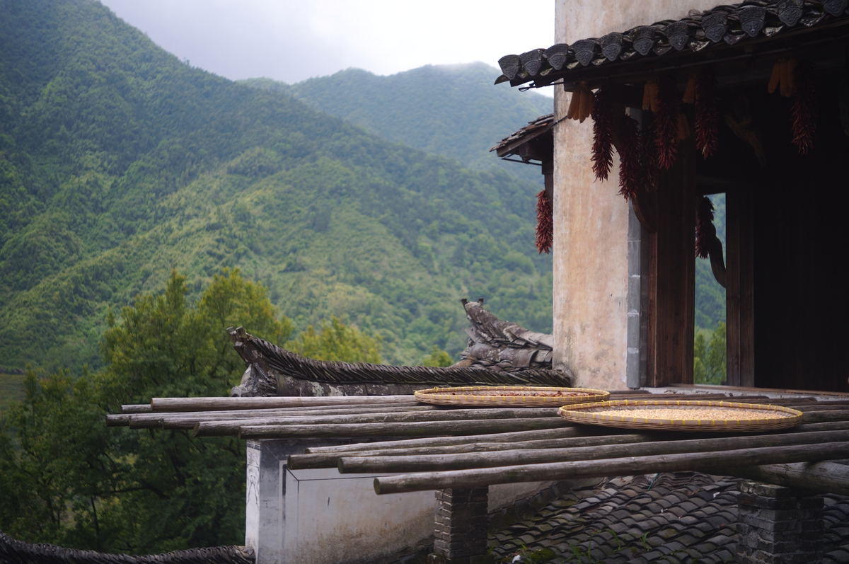 浙江武义坛头村：艺术家心中的'桃花源'，山水画卷激发创作灵感