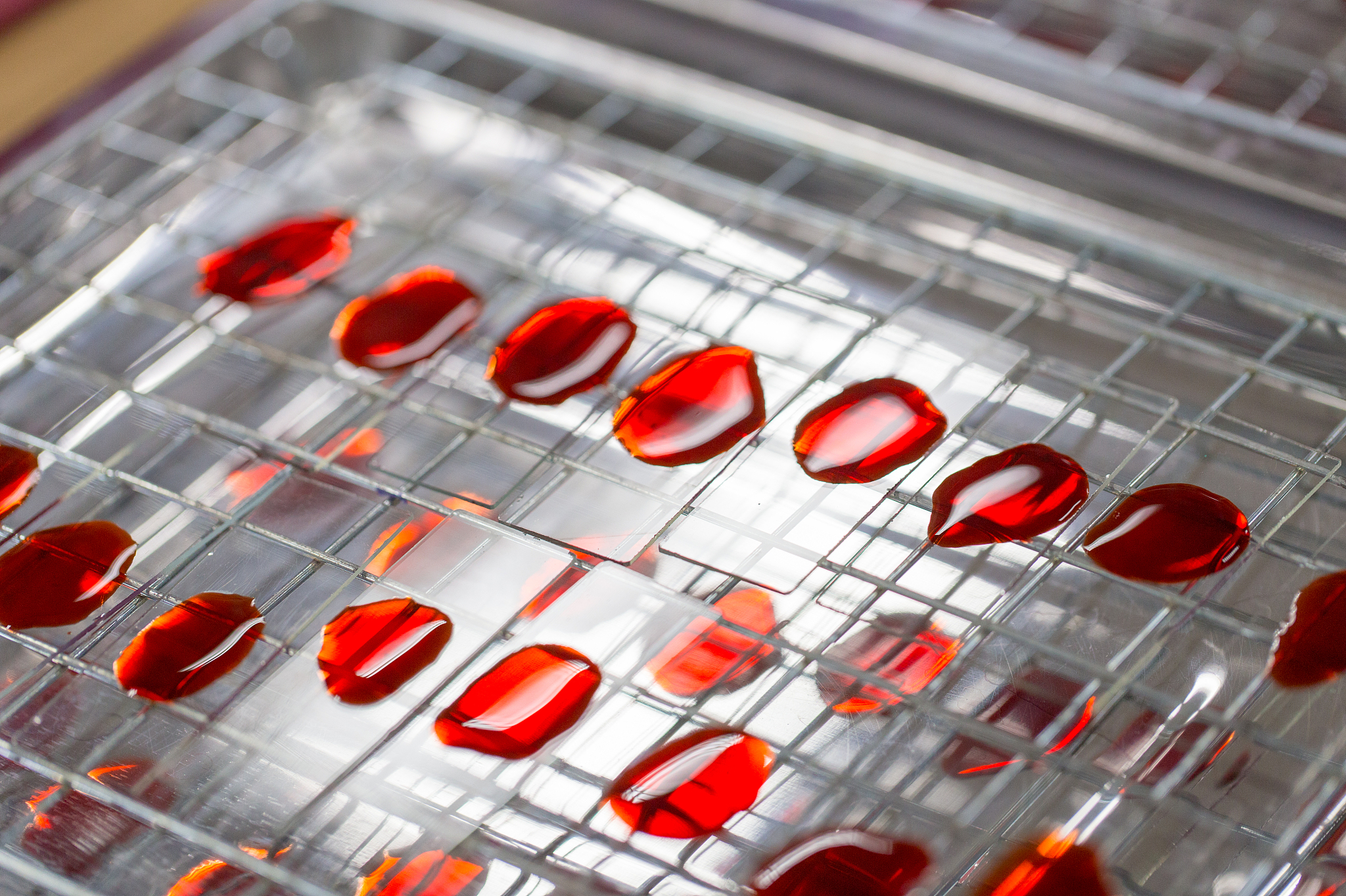 细菌根据需氧种类分类