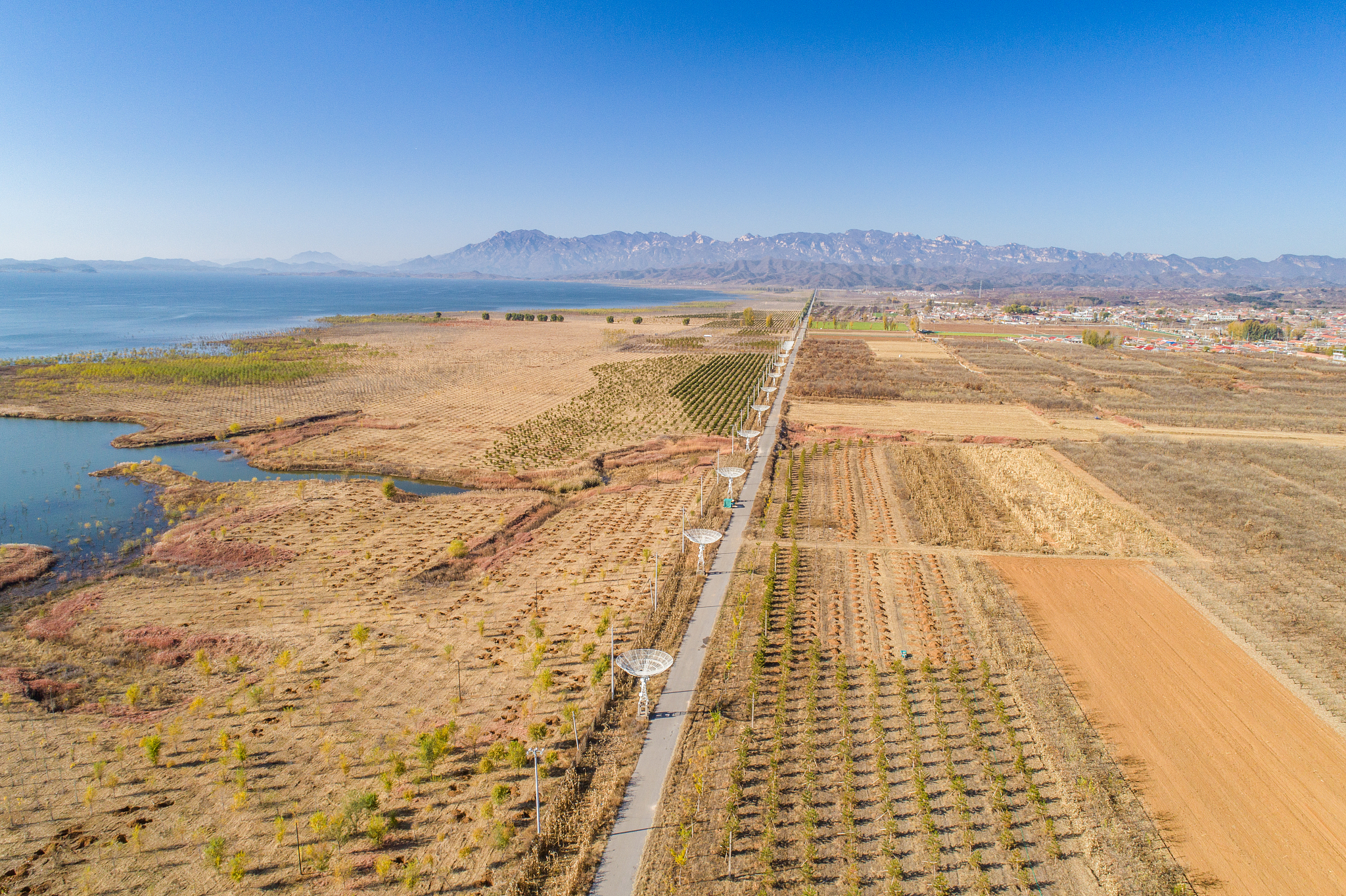 以一个学生的角度读完《十万个为什么》后写一篇1500的读后感