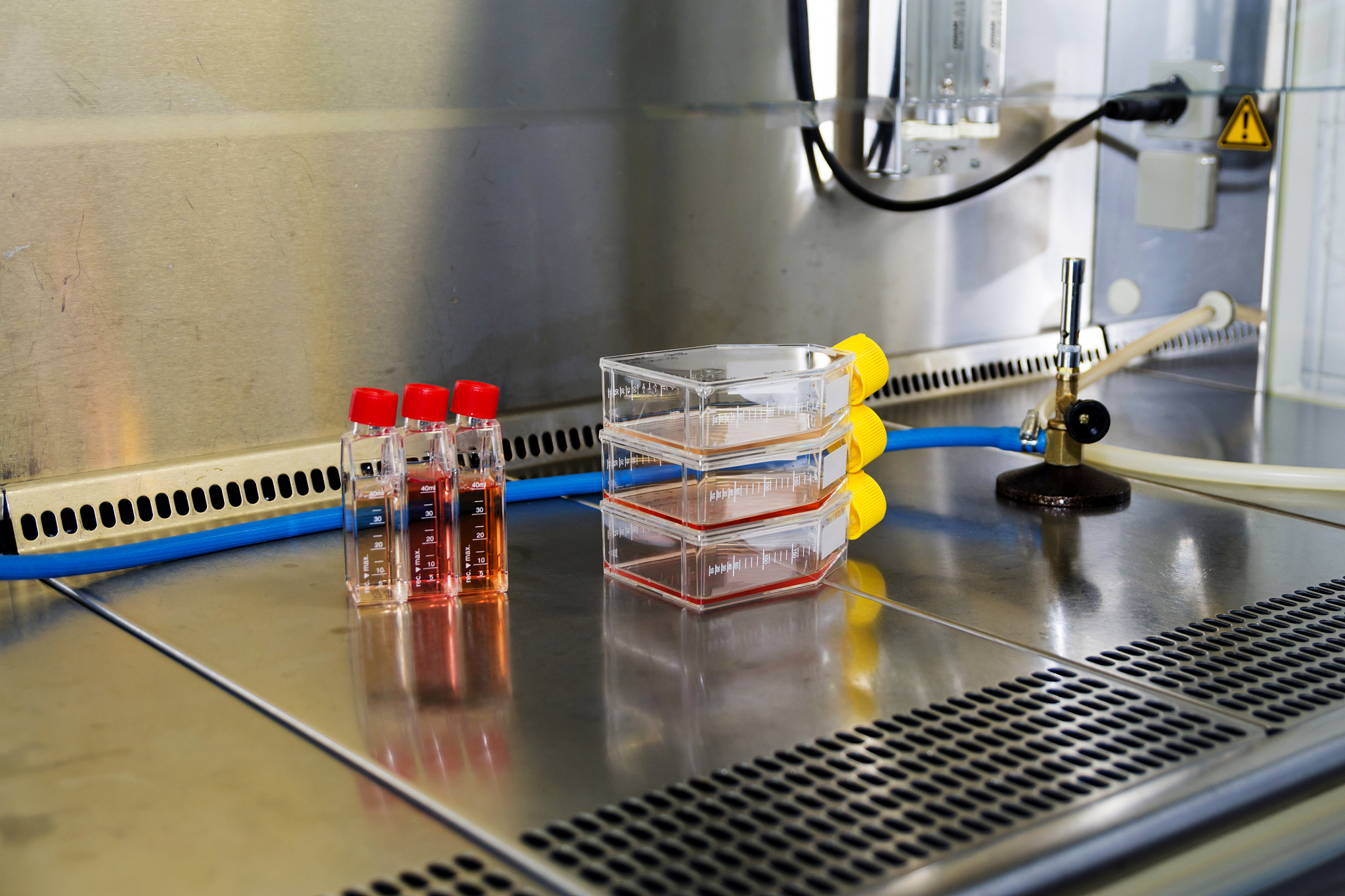 热辐射实验装置设计：探究光的偏振与热辐射关系