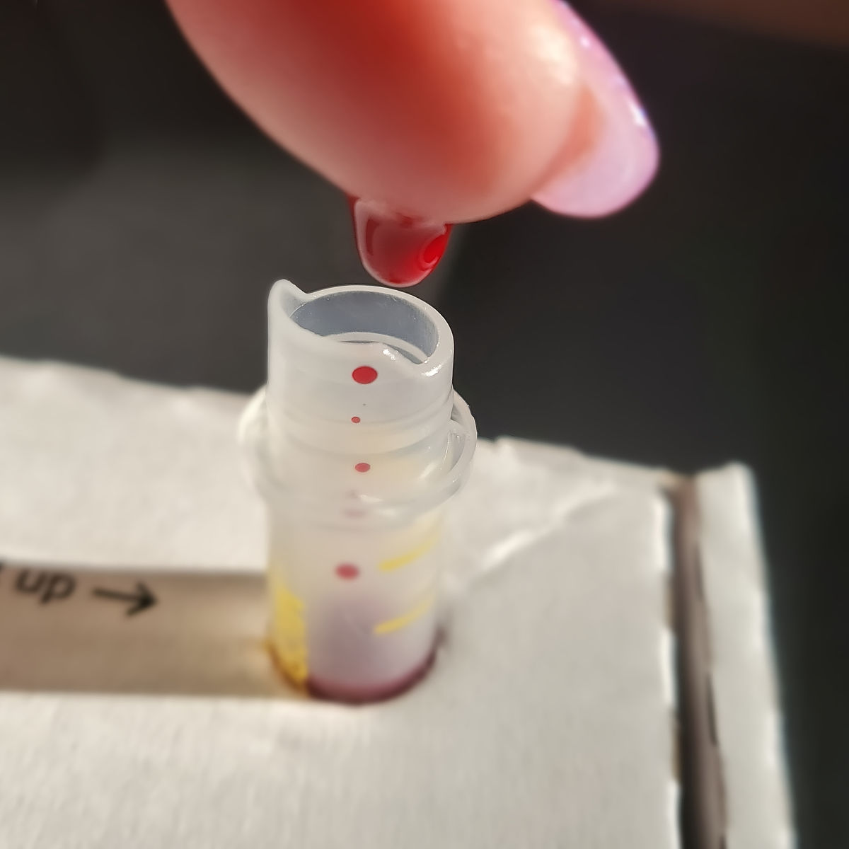 测试用例包含哪些东西？