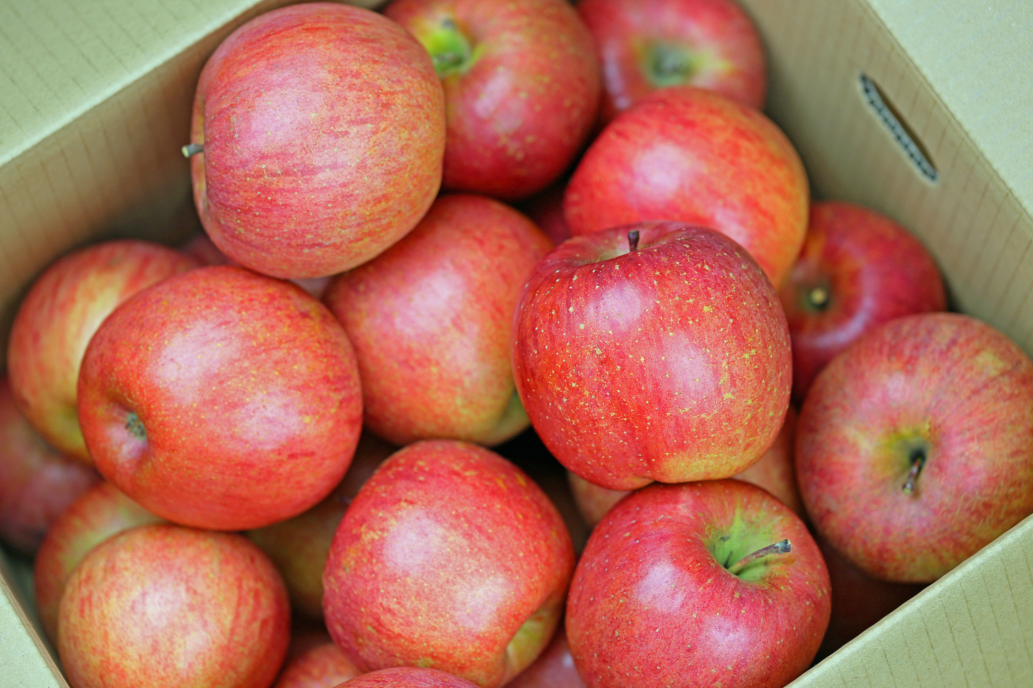 花牛苹果：来自辽宁的爽脆美味，独特包装致敬红色历史